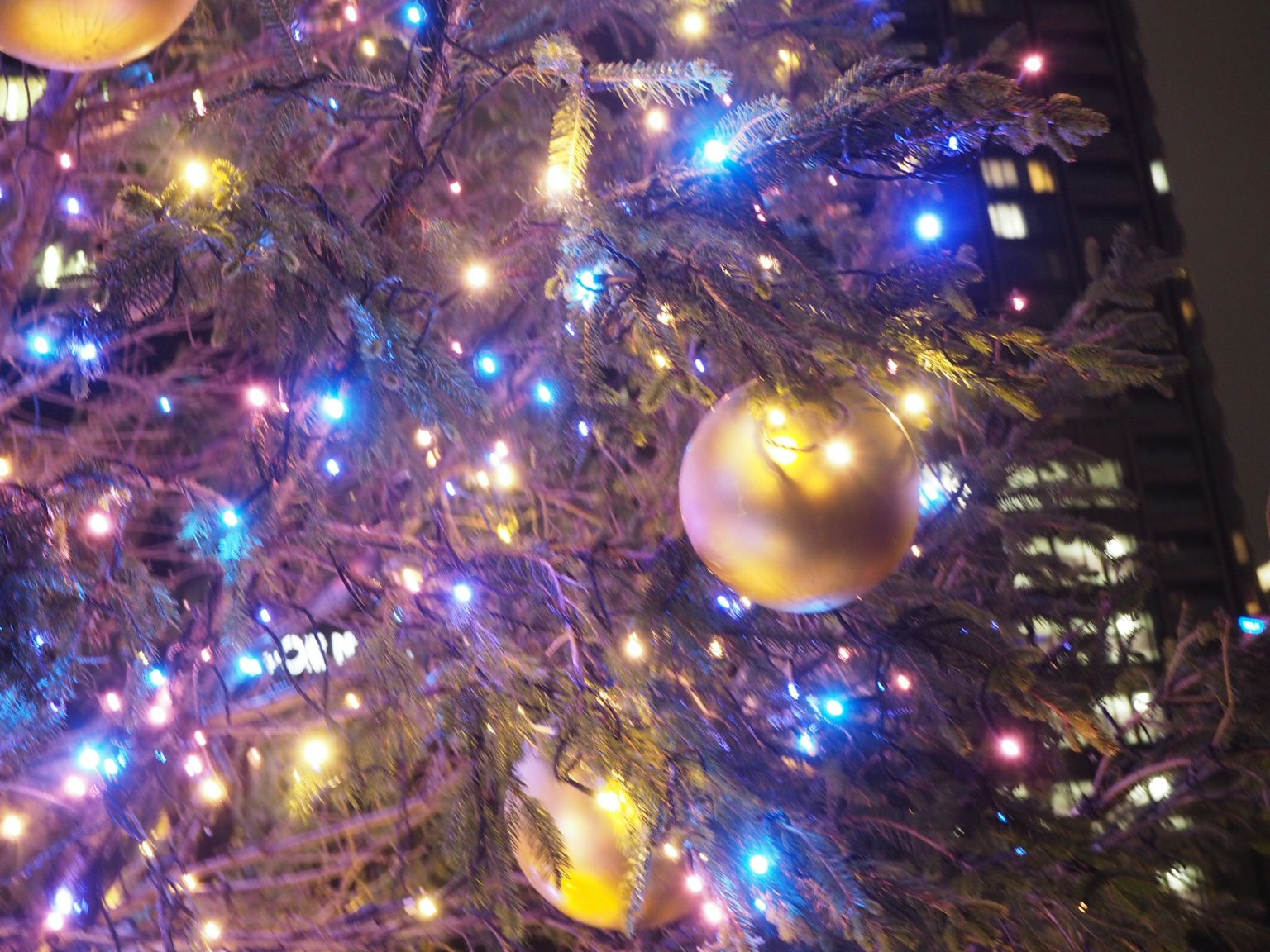 Cây thông Noel trang trí với đồ trang trí màu vàng và đèn màu sắc