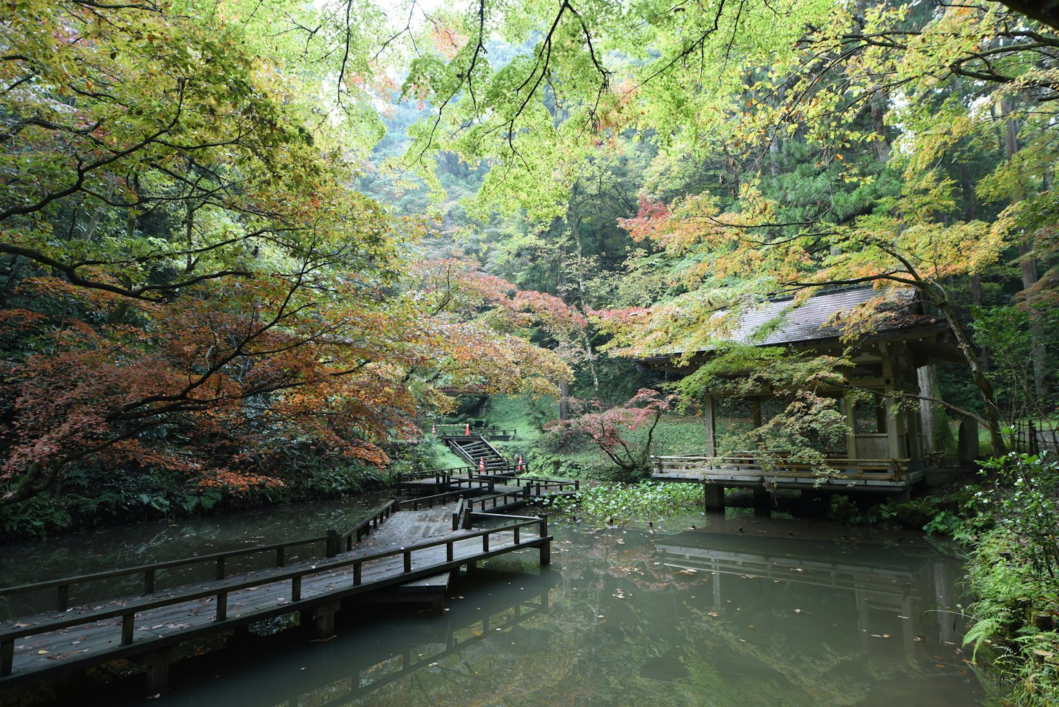 สวนญี่ปุ่นที่สวยงามมีสะพานไม้และใบไม้ฤดูใบไม้ร่วงที่มีสีสันสดใส