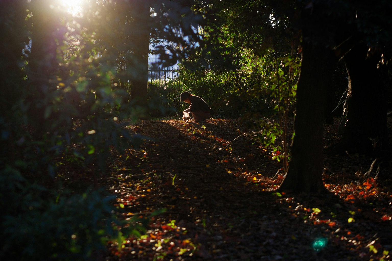 Eine Person, die auf einem Weg im Wald geht, während Sonnenlicht durch die Bäume fällt