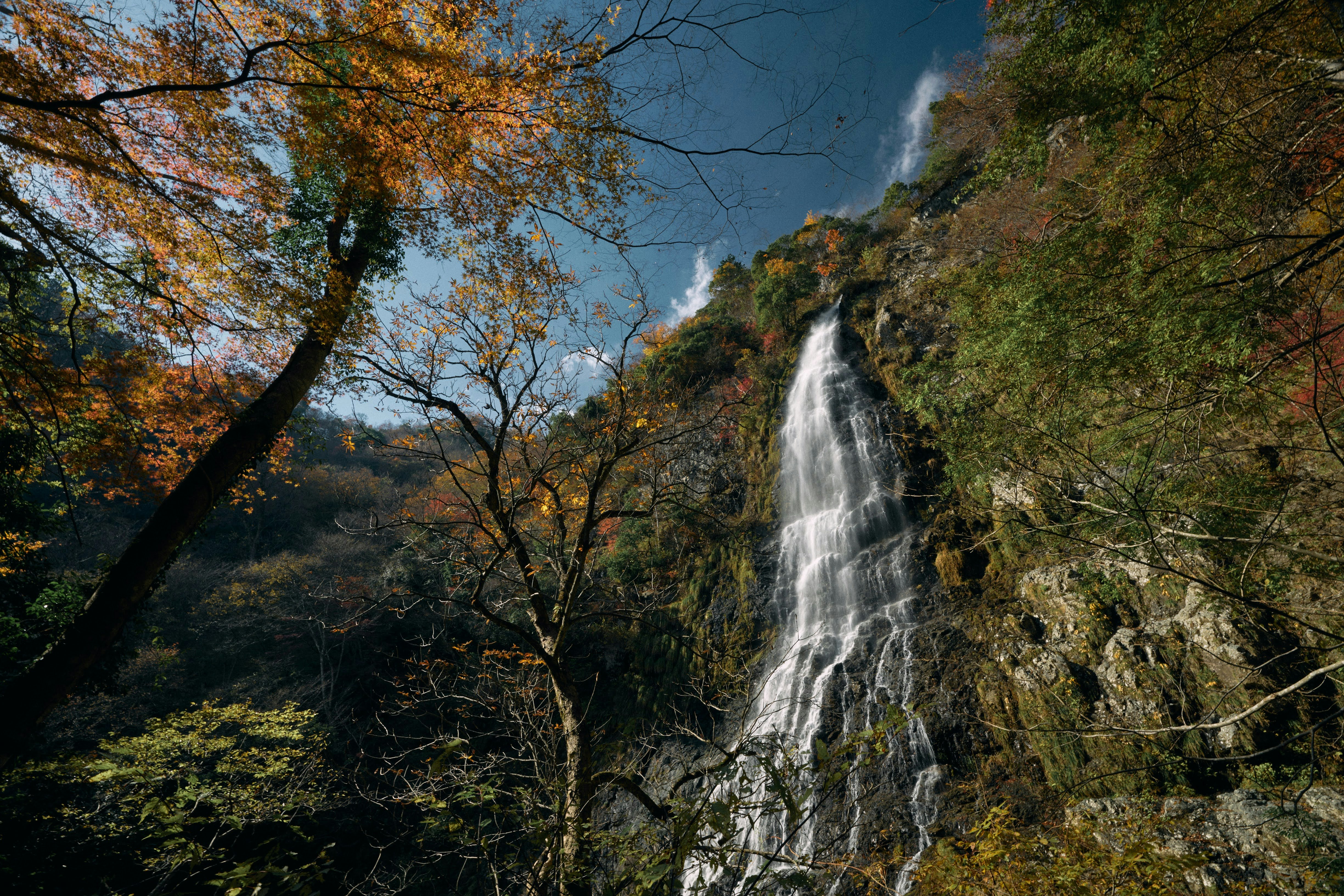 紅葉と天滝の落差98mの大滝