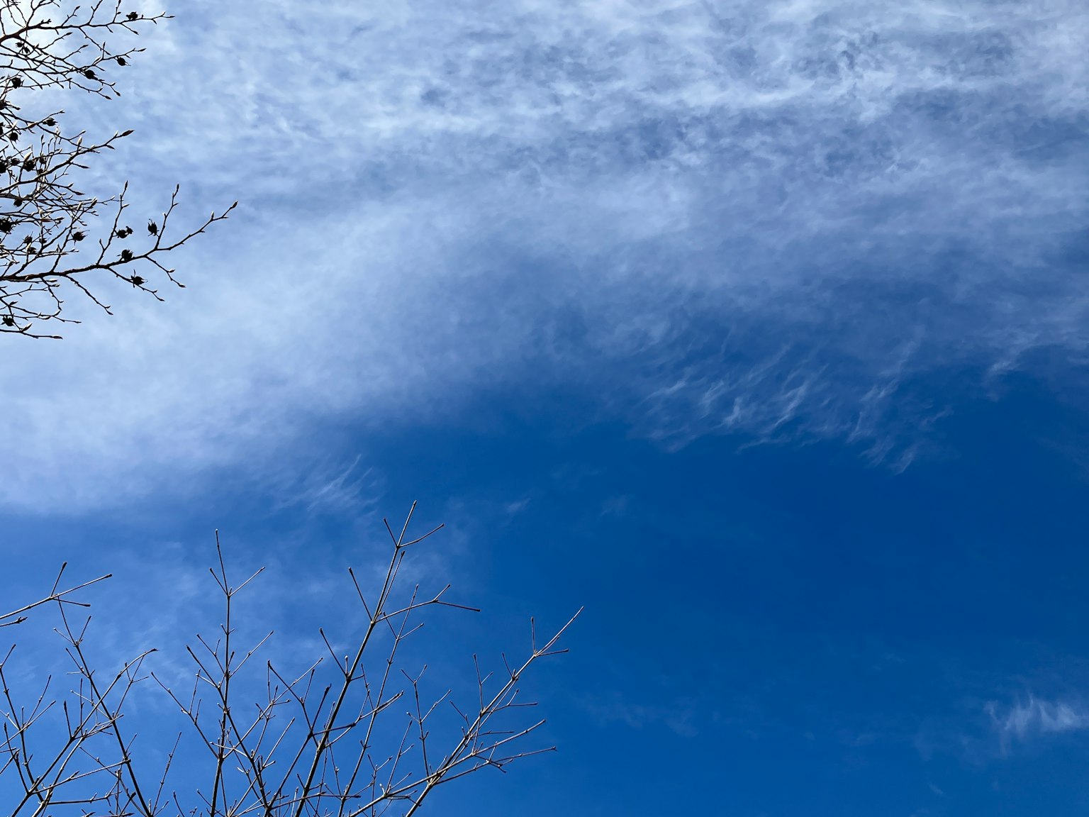 Heller blauer Himmel mit wispy weißen Wolken und kahlen Ästen