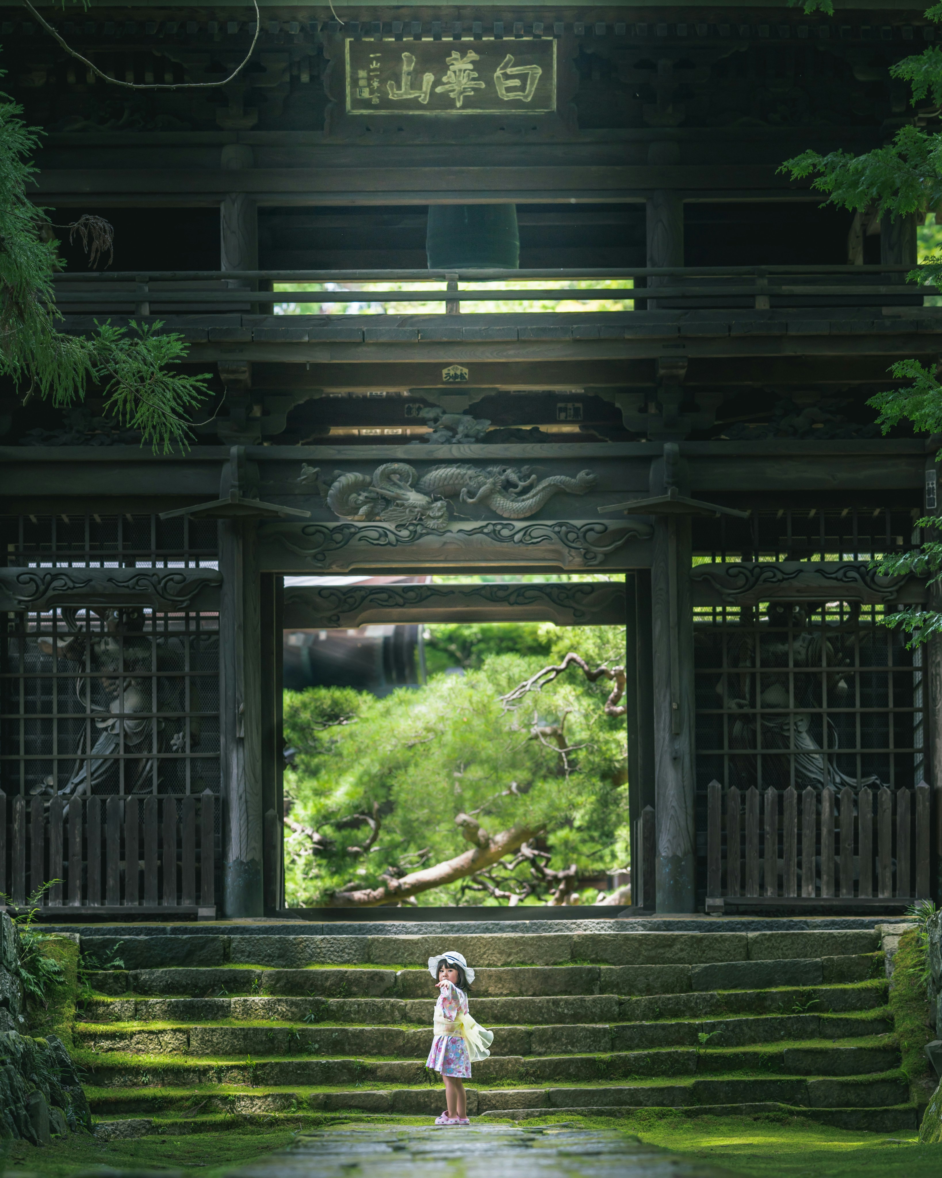 緑の庭園に続く石段と門のある寺院の風景