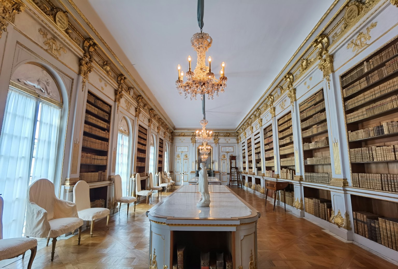 Bibliothèque spacieuse avec un lustre luxueux des livres alignés sur les murs et une décoration élégante