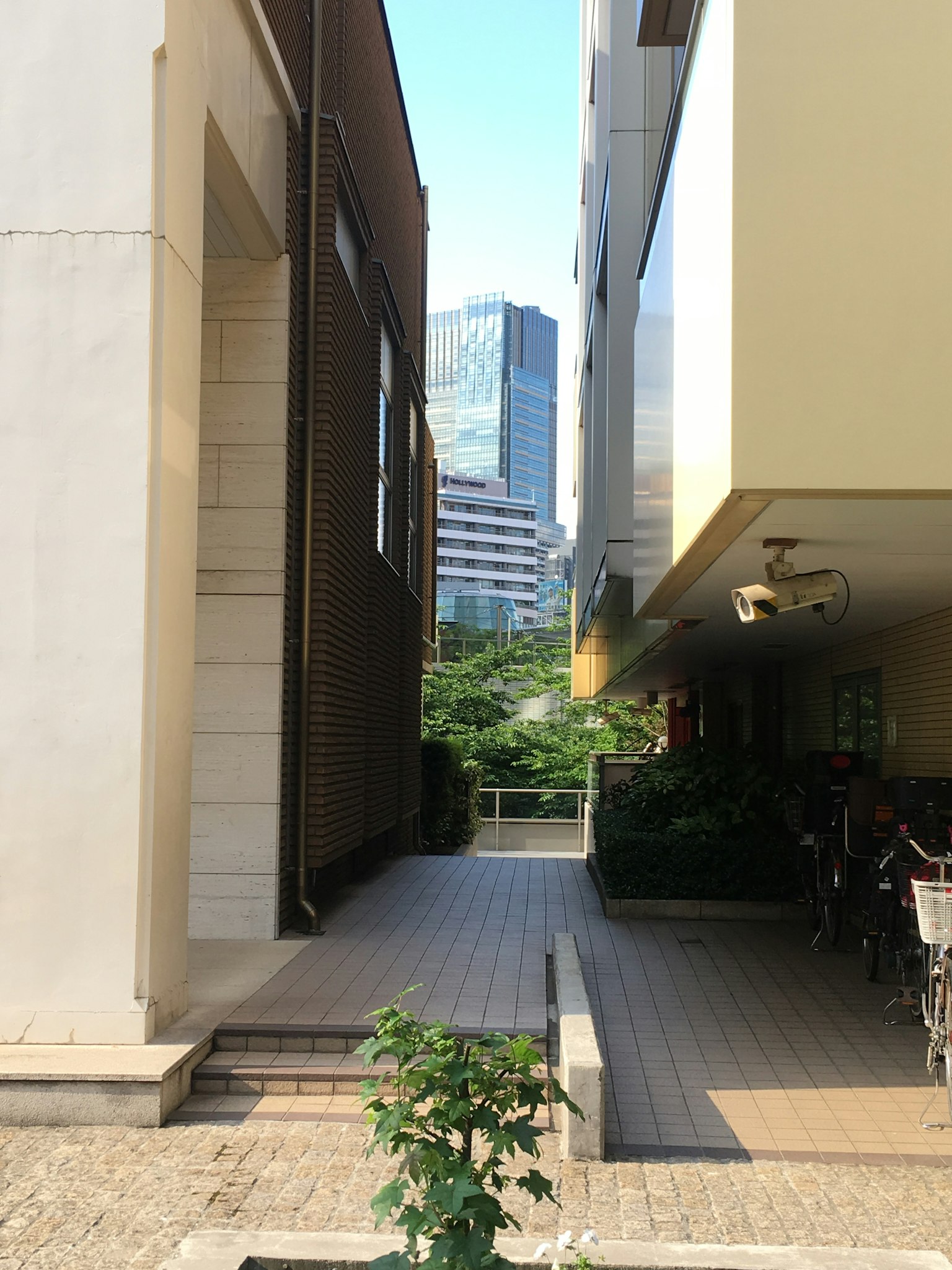 Scène urbaine avec un chemin étroit entre des bâtiments et de la verdure