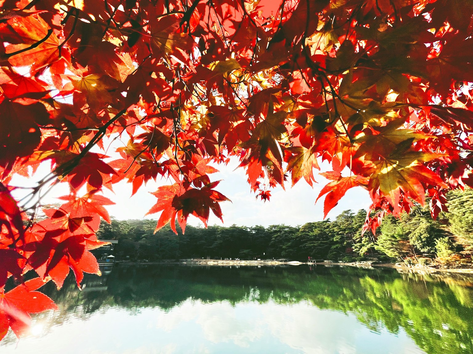 Vista escénica de un lago rodeado de vibrantes hojas de otoño rojas