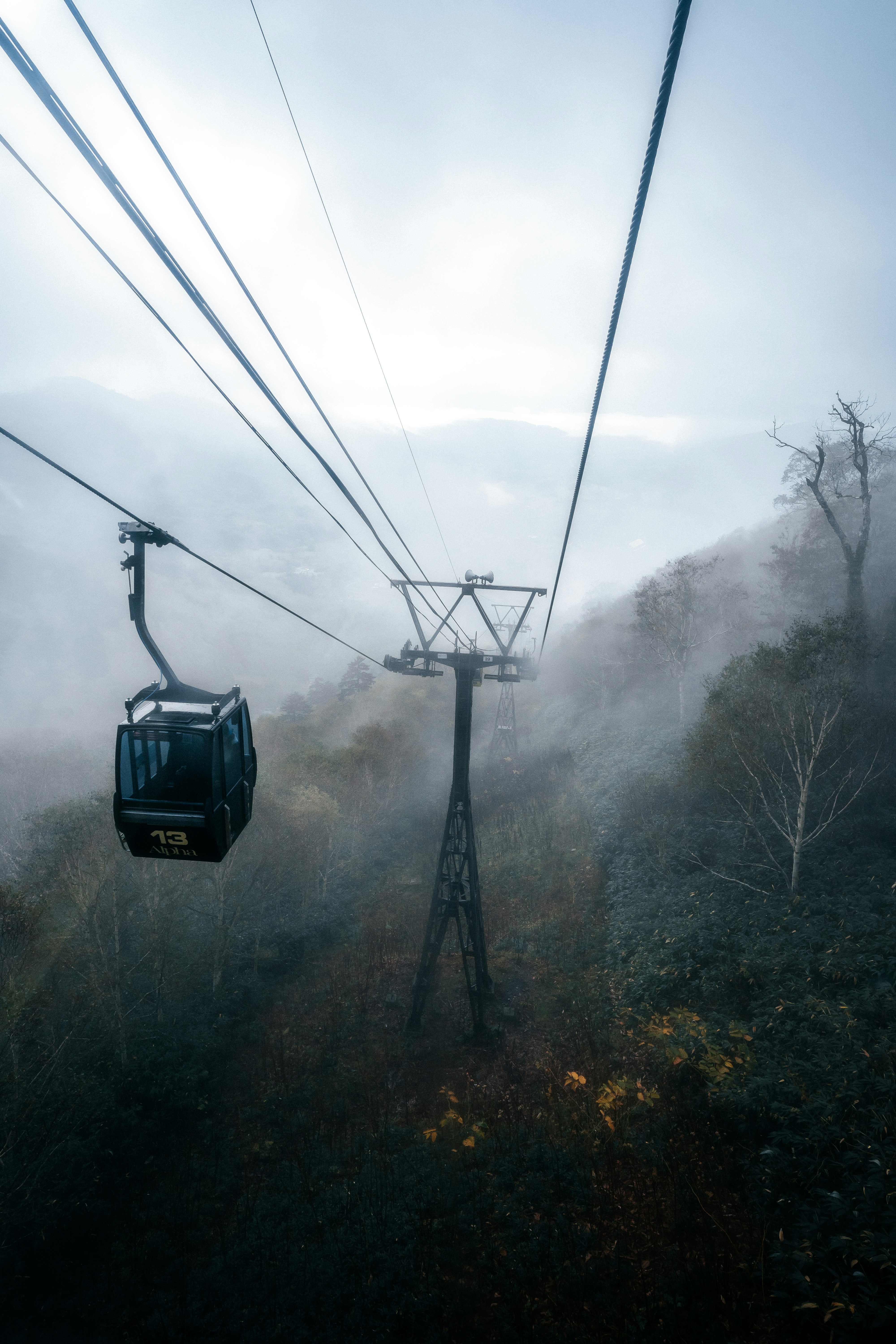 Cảnh cáp treo gondola phía trên lối mòn trên núi trong sương mù