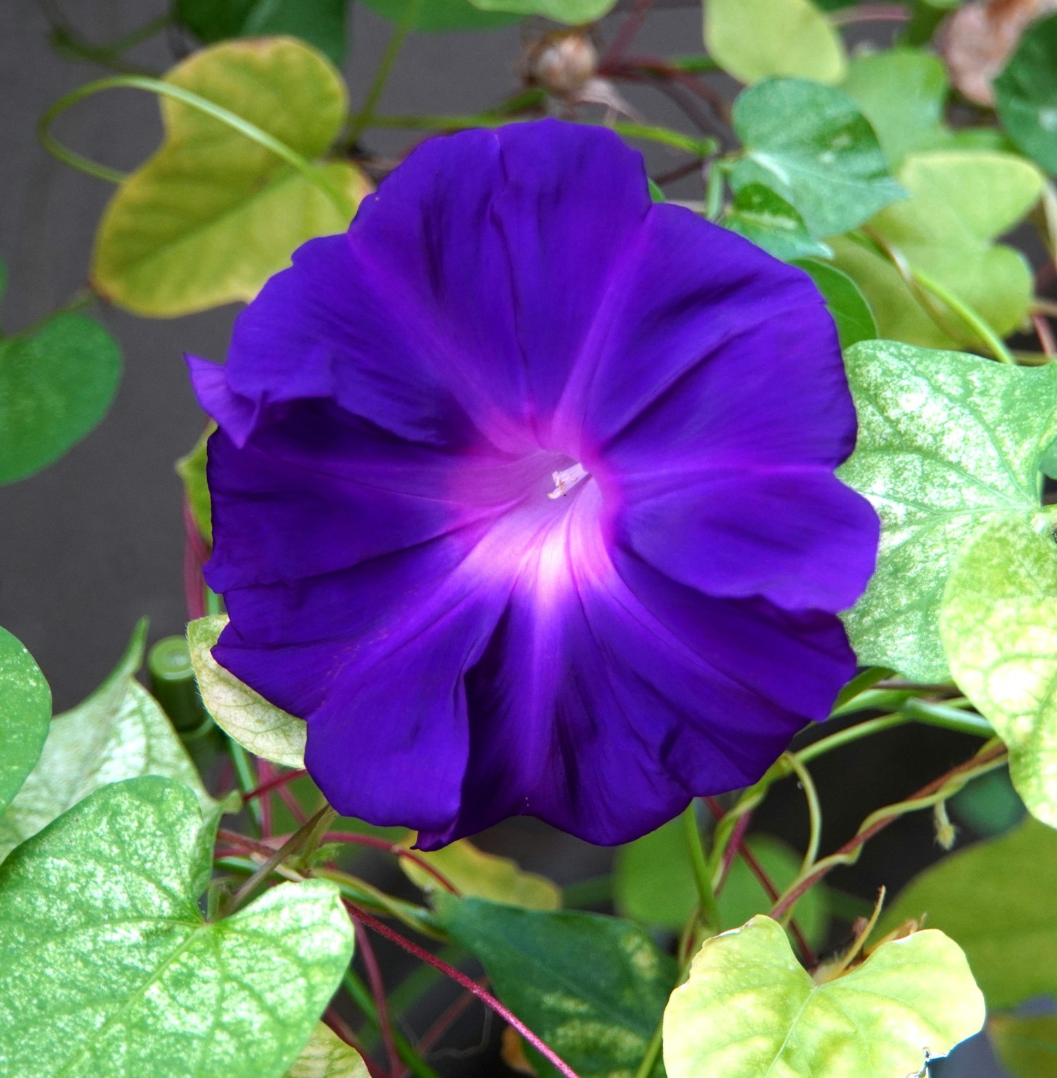 photo-UJpNDrb9v7s6G8e97PnL-image