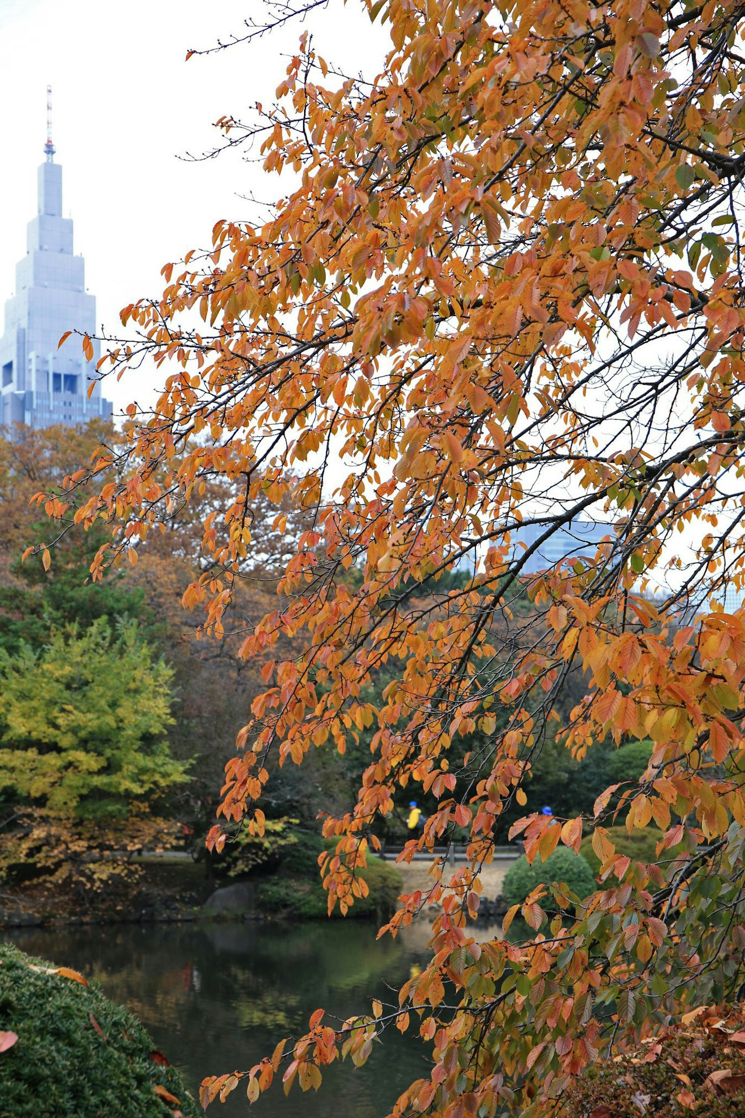 Herbstblätter in einem Park mit einem Gebäude im Hintergrund