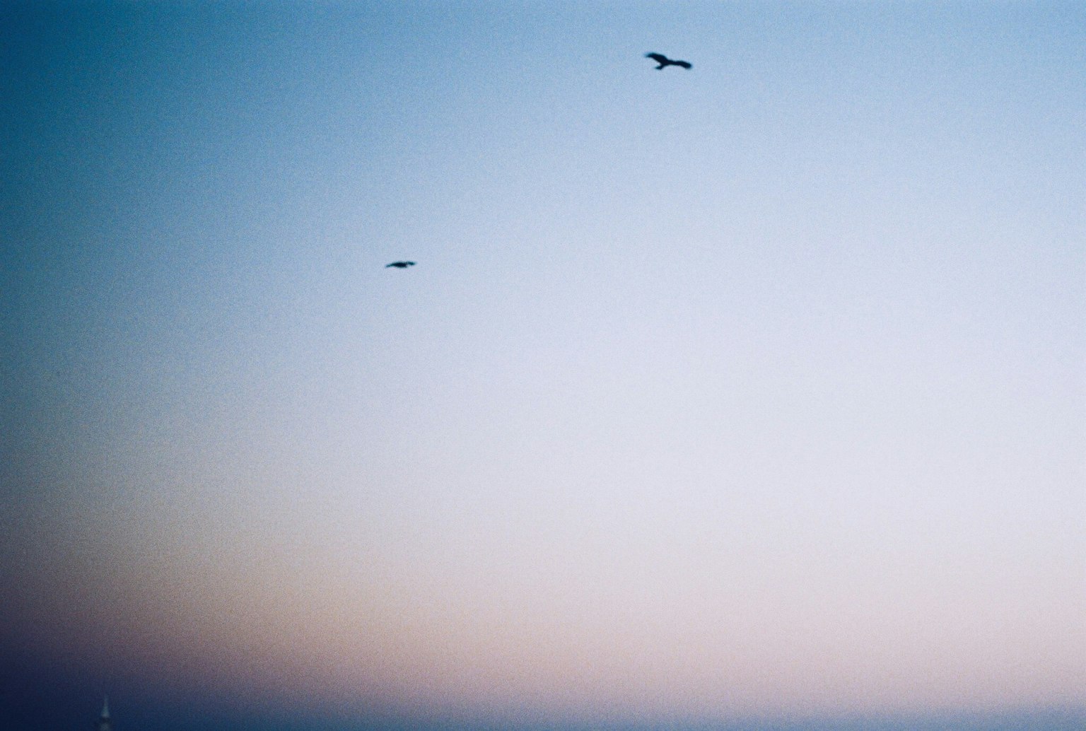Siluetas de un pájaro y un helicóptero en el cielo