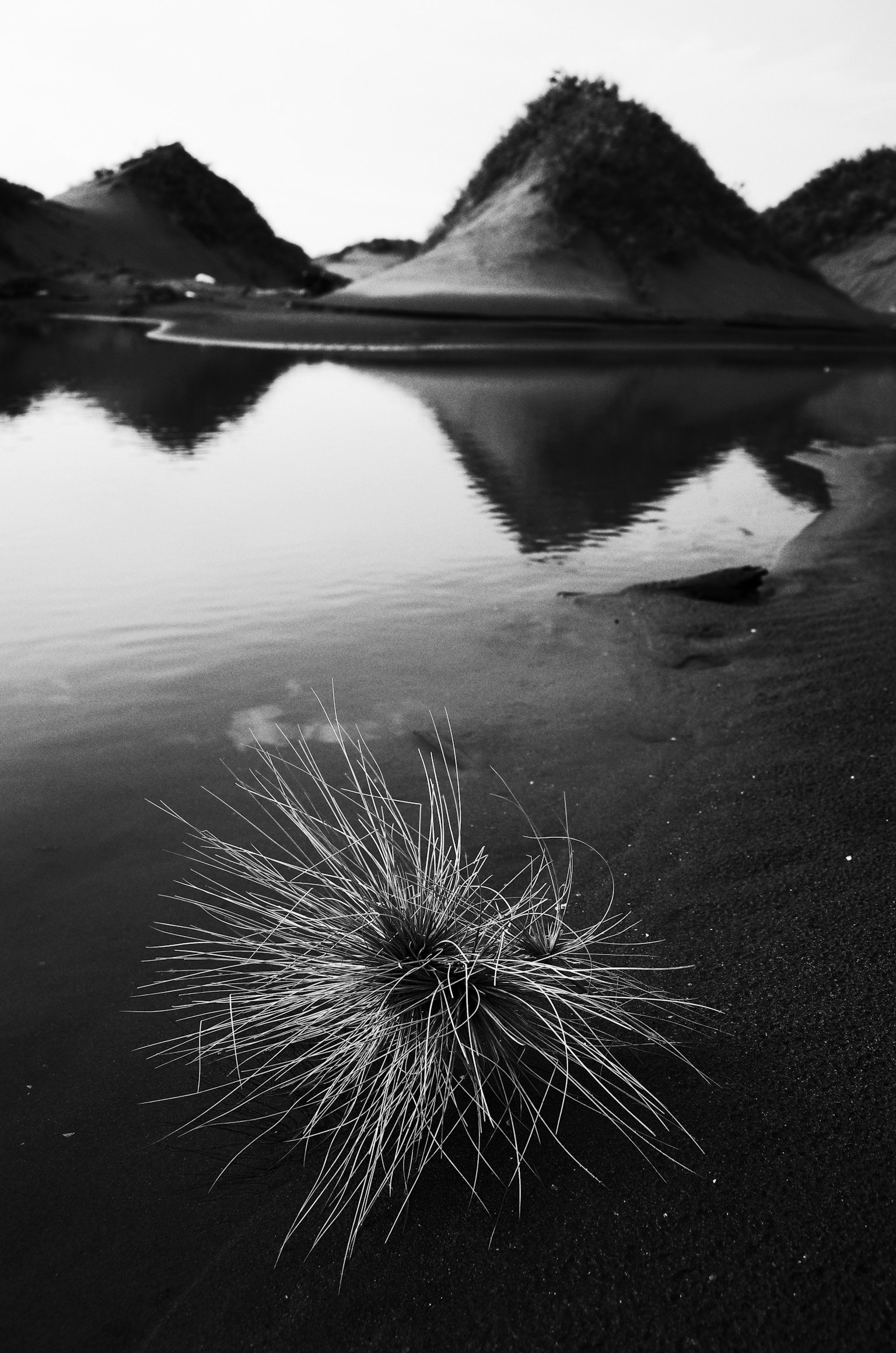 水辺に生える植物と反射する山のシルエットが印象的なモノクロ写真