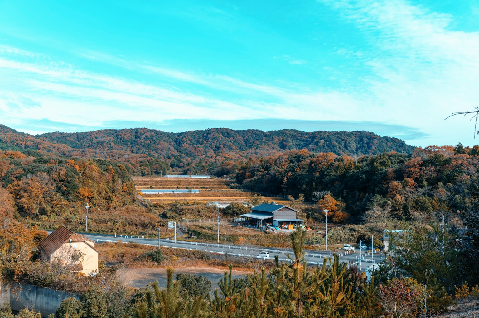 Wunderschöne Landschaft mit Bergen und Feldern