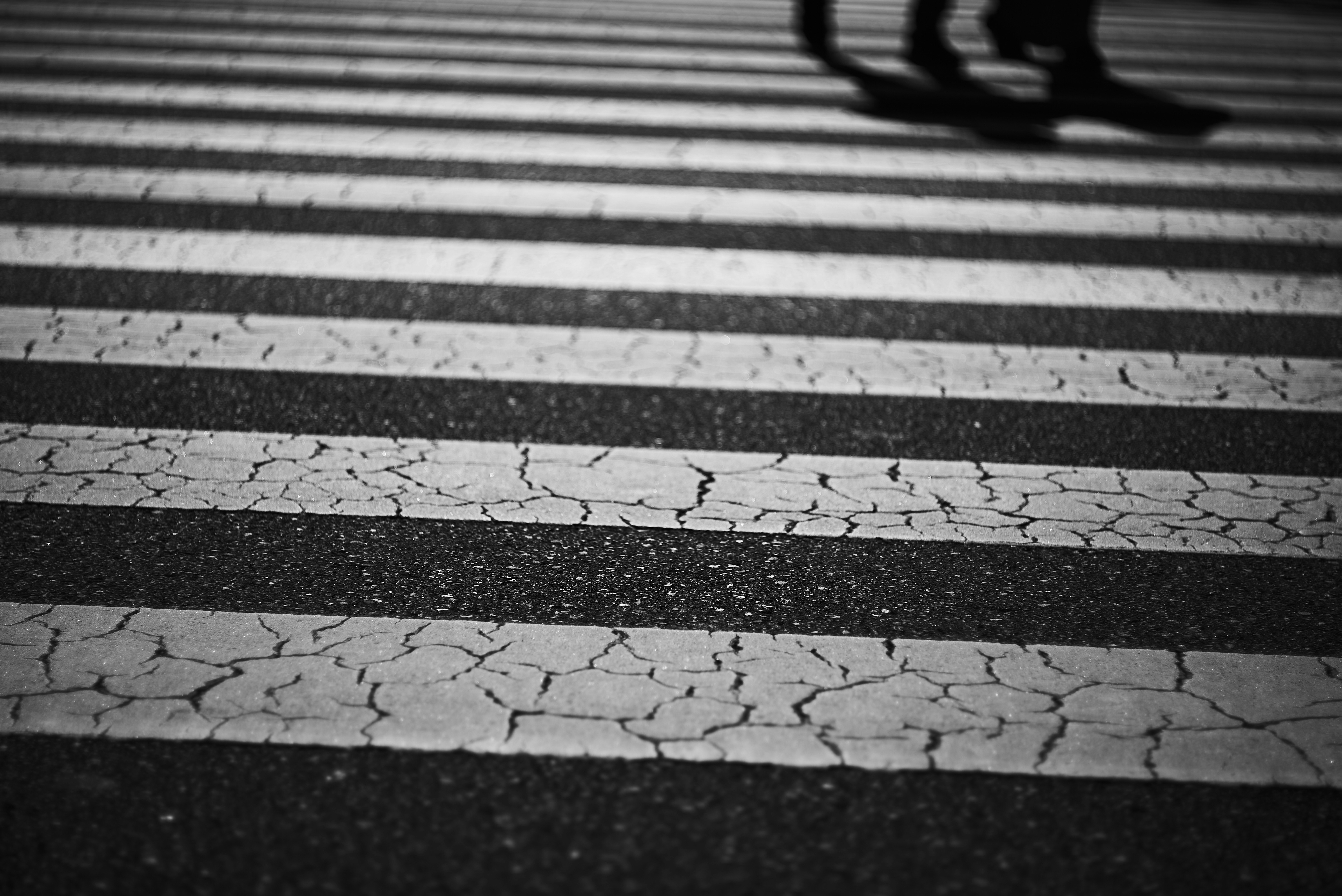 横断歩道の白線とアスファルトの質感