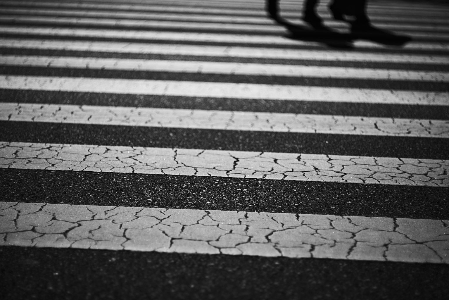 Shadows of people walking on a black and white crosswalk