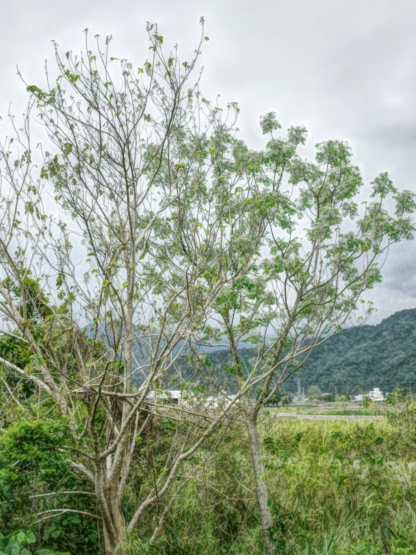 photo-ULvim00mEPLvOEMZPvFR-image