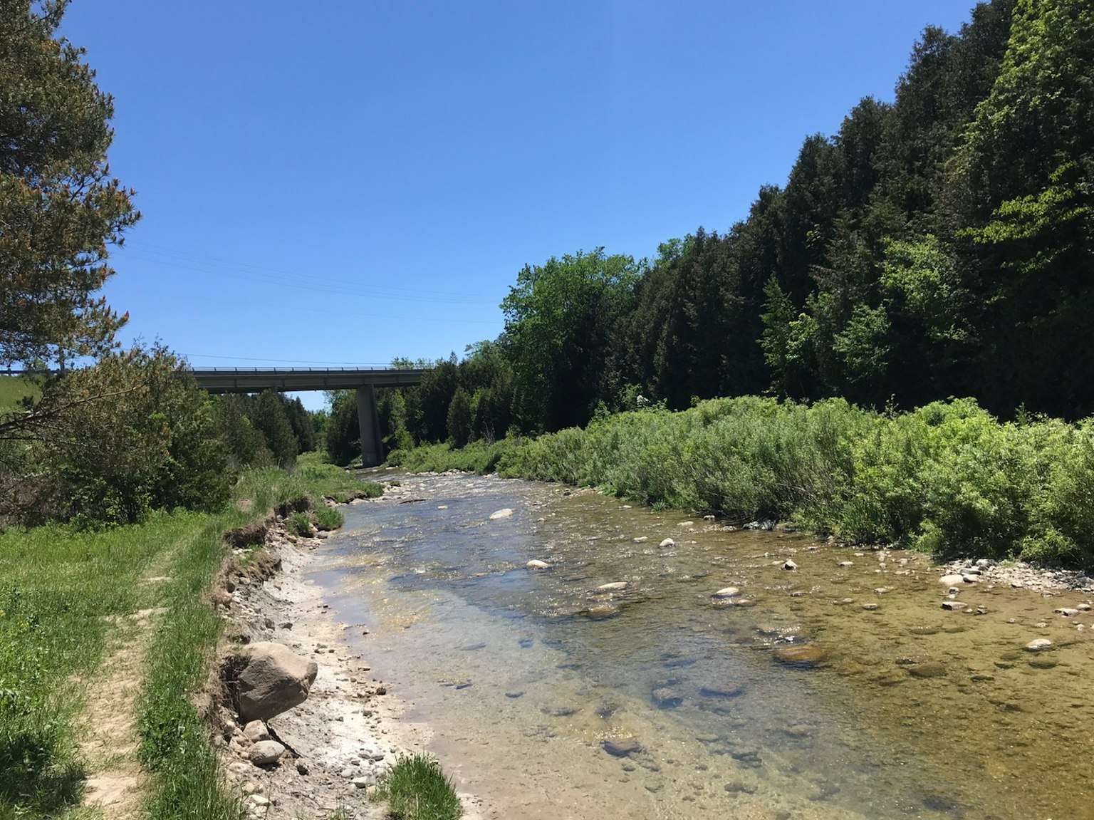 Ruhige Flusslandschaft umgeben von grünen Bäumen und blauem Himmel