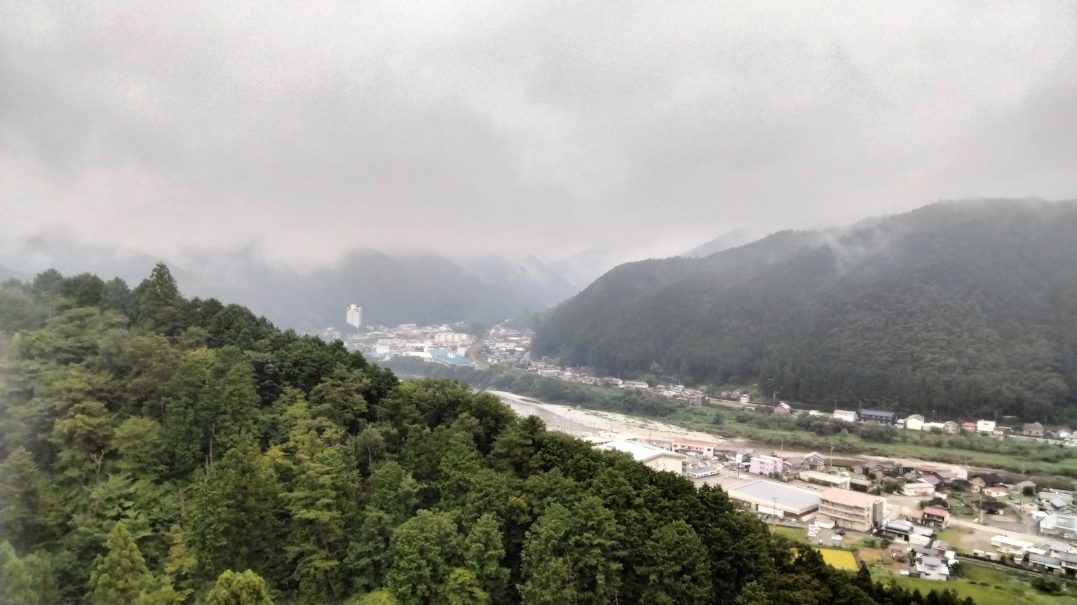 Foggy mountains and lush green forest landscape