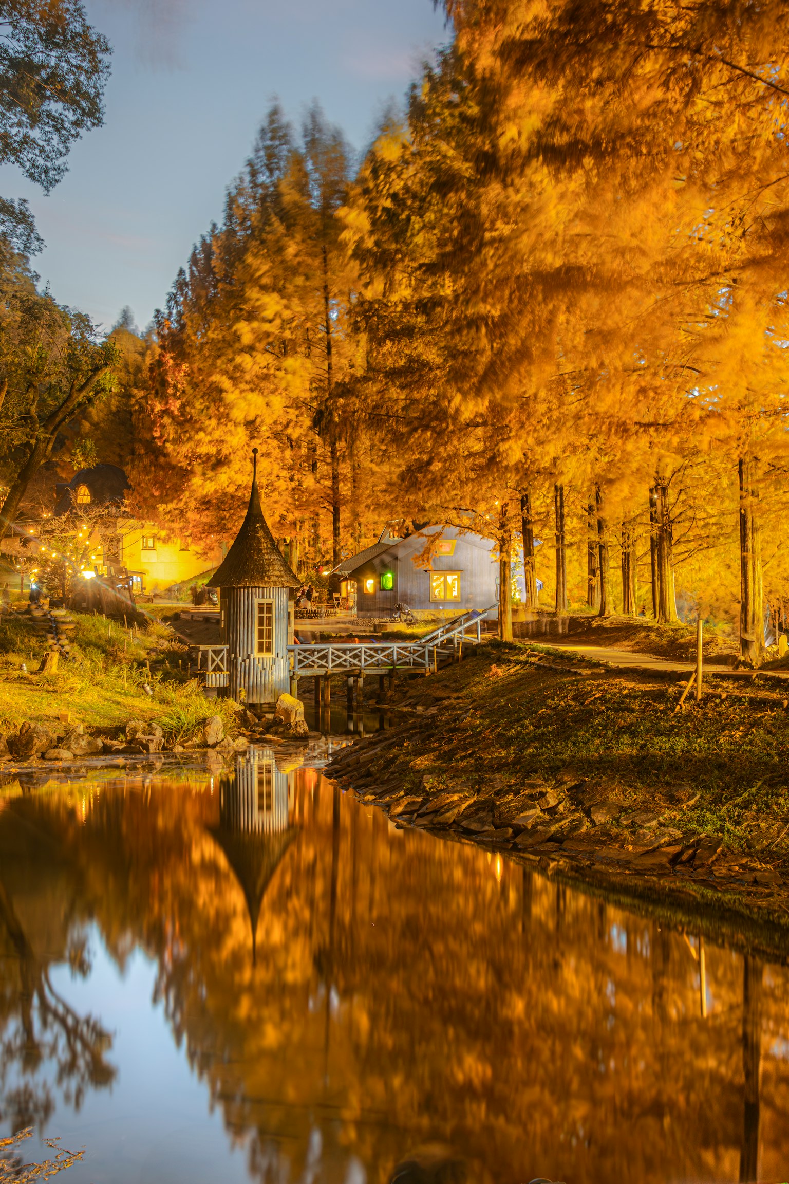 秋季色彩的树木环绕着池塘旁的小屋的风景