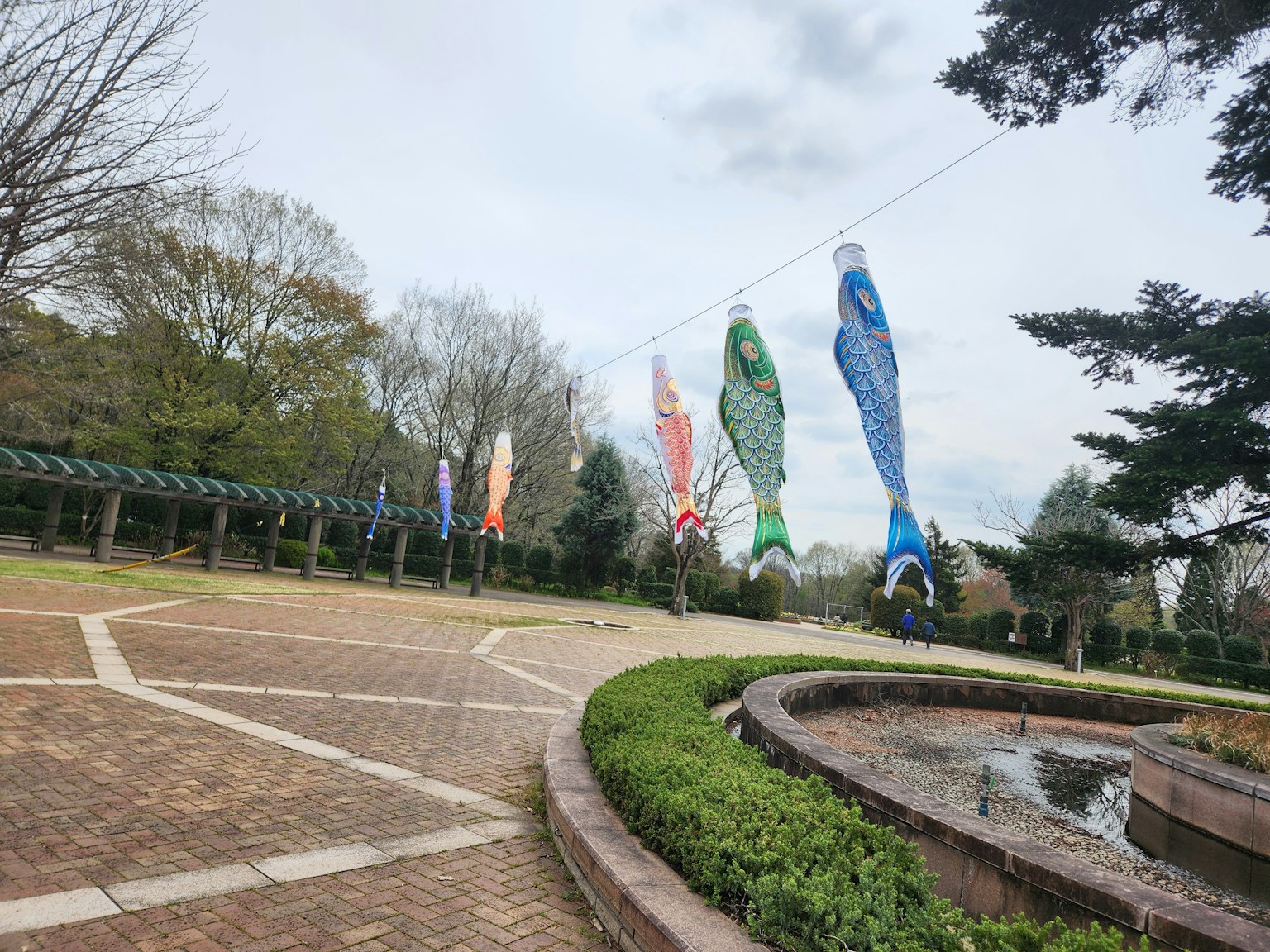 Drapeaux de carpe colorés flottant dans un parc