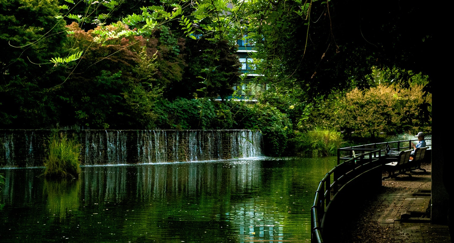 Vista panoramica di un parco verdeggiante con un ruscello e una cascata Panchine e sentieri invitano al relax nella natura