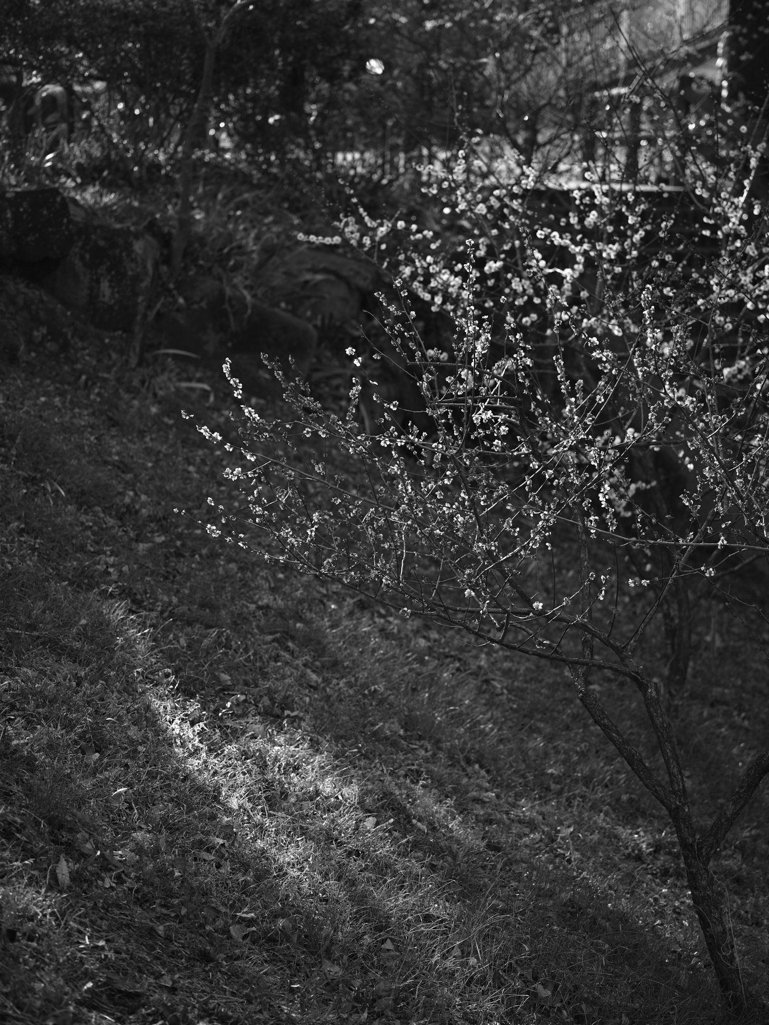 photo-UN0PZ1Zk7U0SUPj4nnC4-image