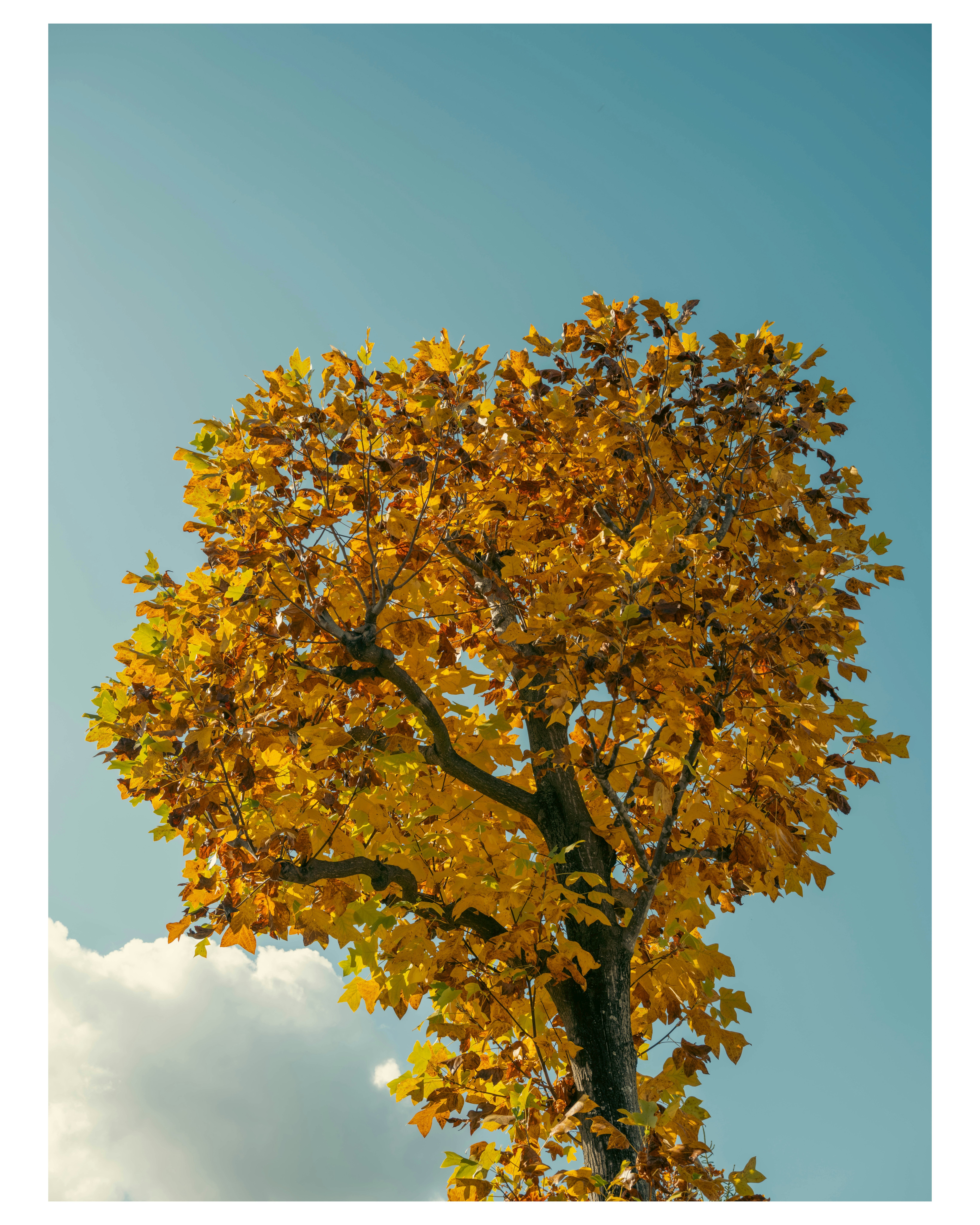 photo-UNYbGhtYsLKkEX9aqsBb-image