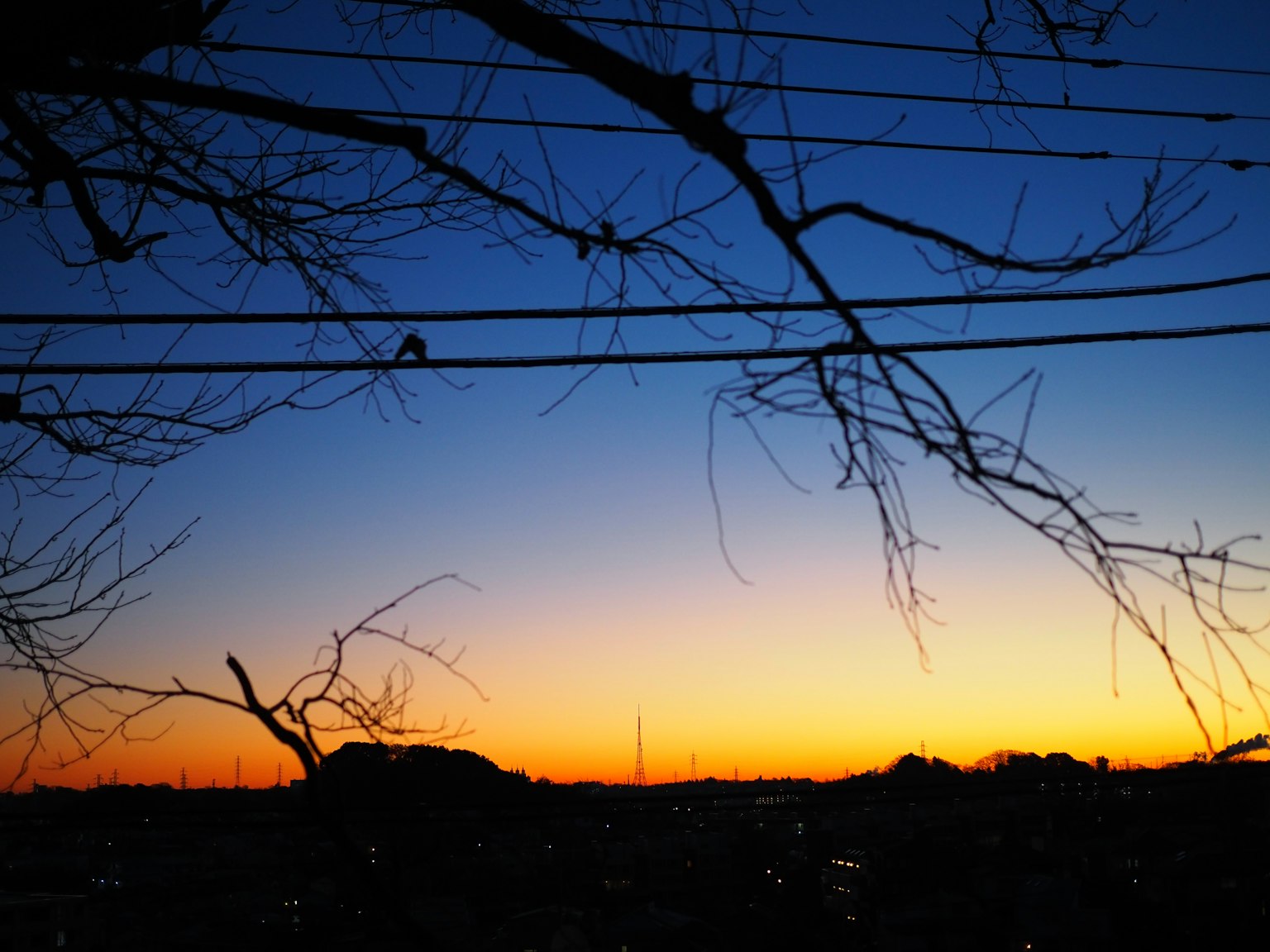Ciel au coucher du soleil avec des branches d'arbre en silhouette