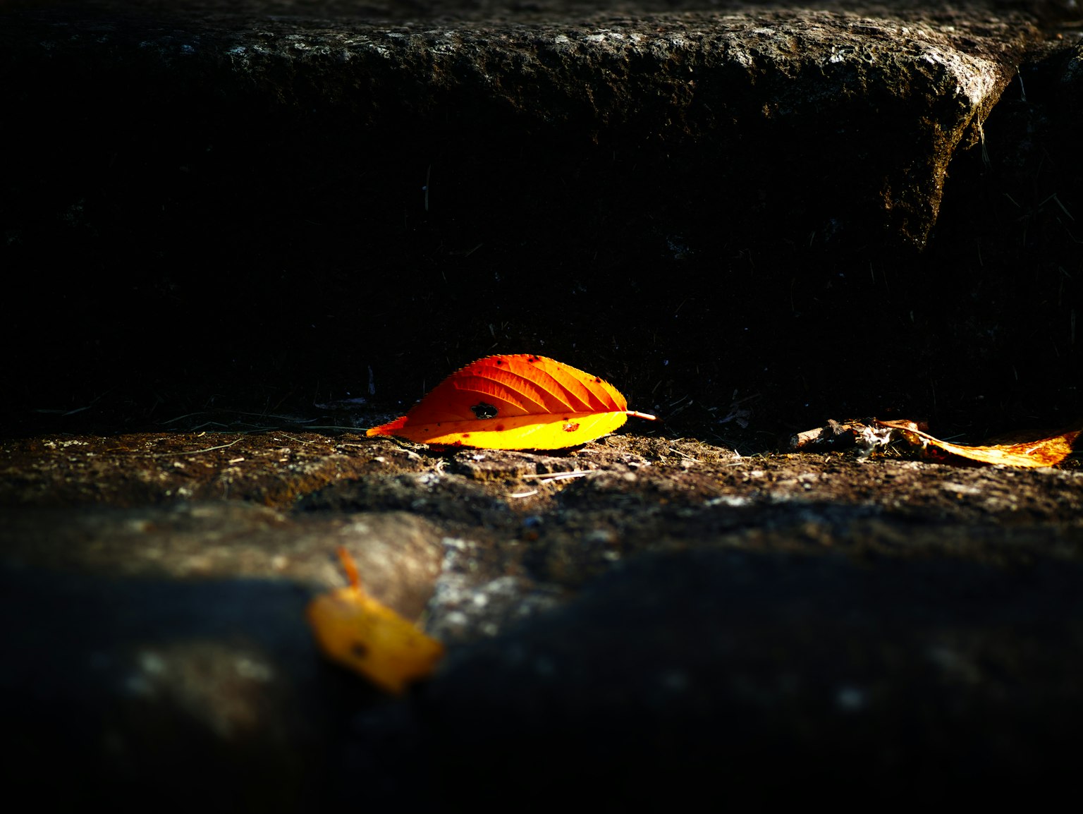 photo-UNnWYV4EJIiot1GC7Jkl-image