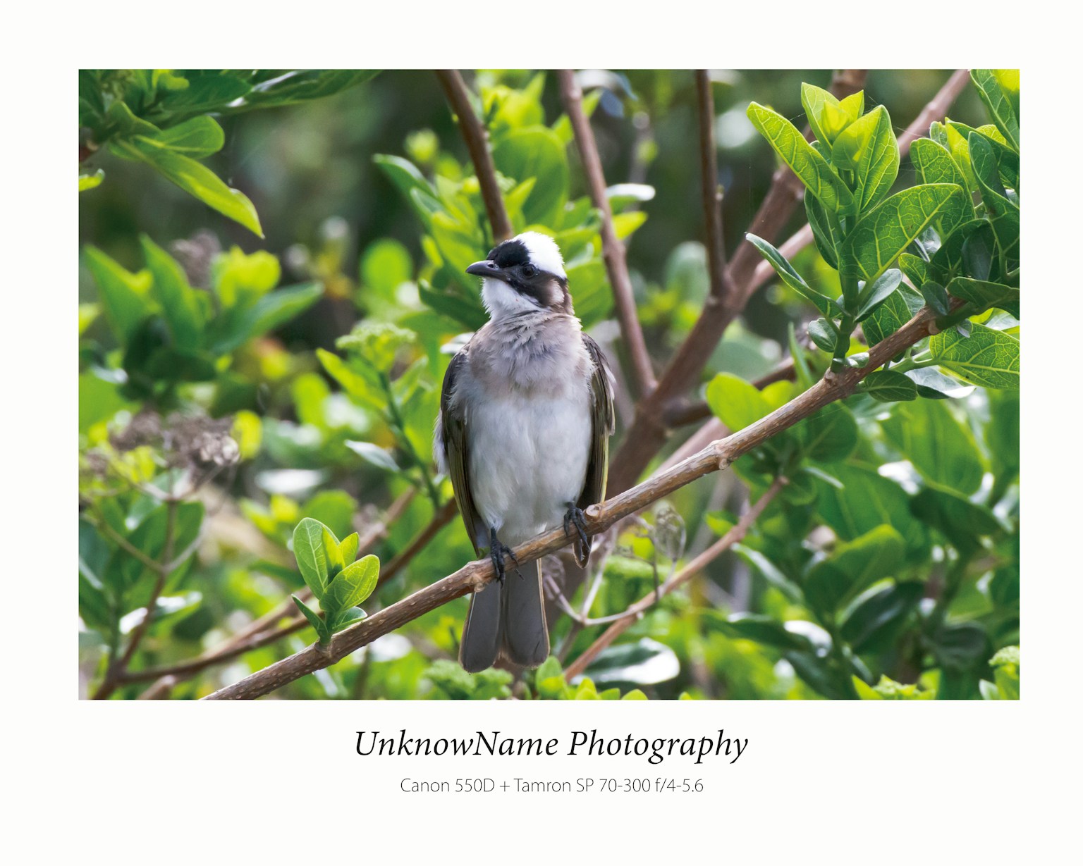 photo-UNxr93ewtu7JWlPeAP6L-image