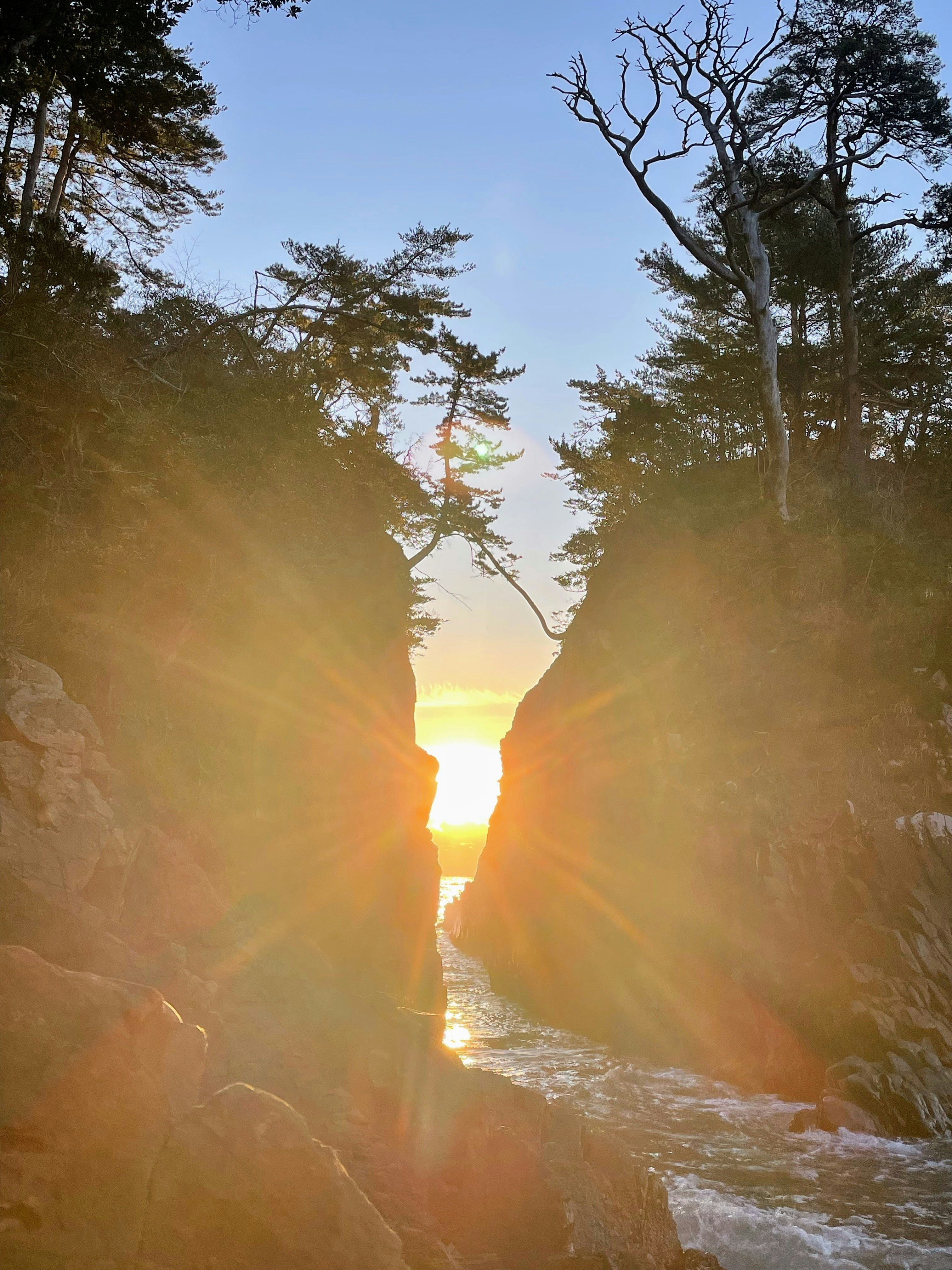 夕日に照らされる岩と木々の渓谷