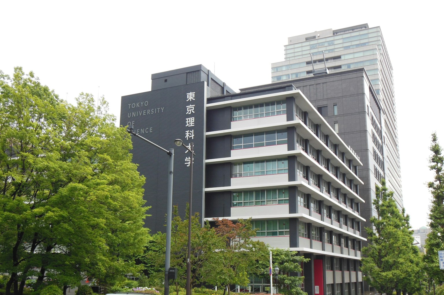 現代建築和前景中的綠色樹木