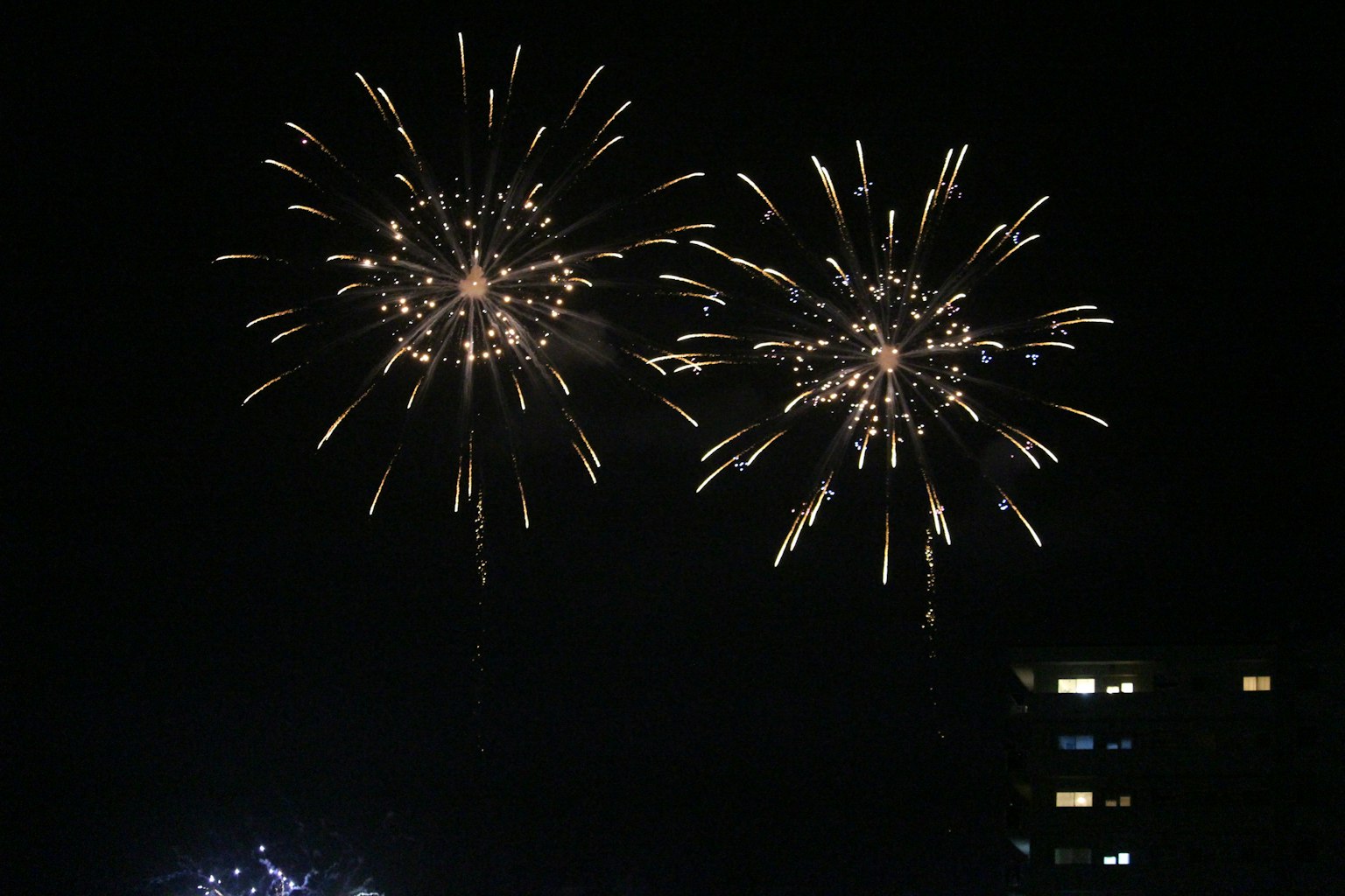 夜空中的烟花表演明亮的色彩和多样的图案