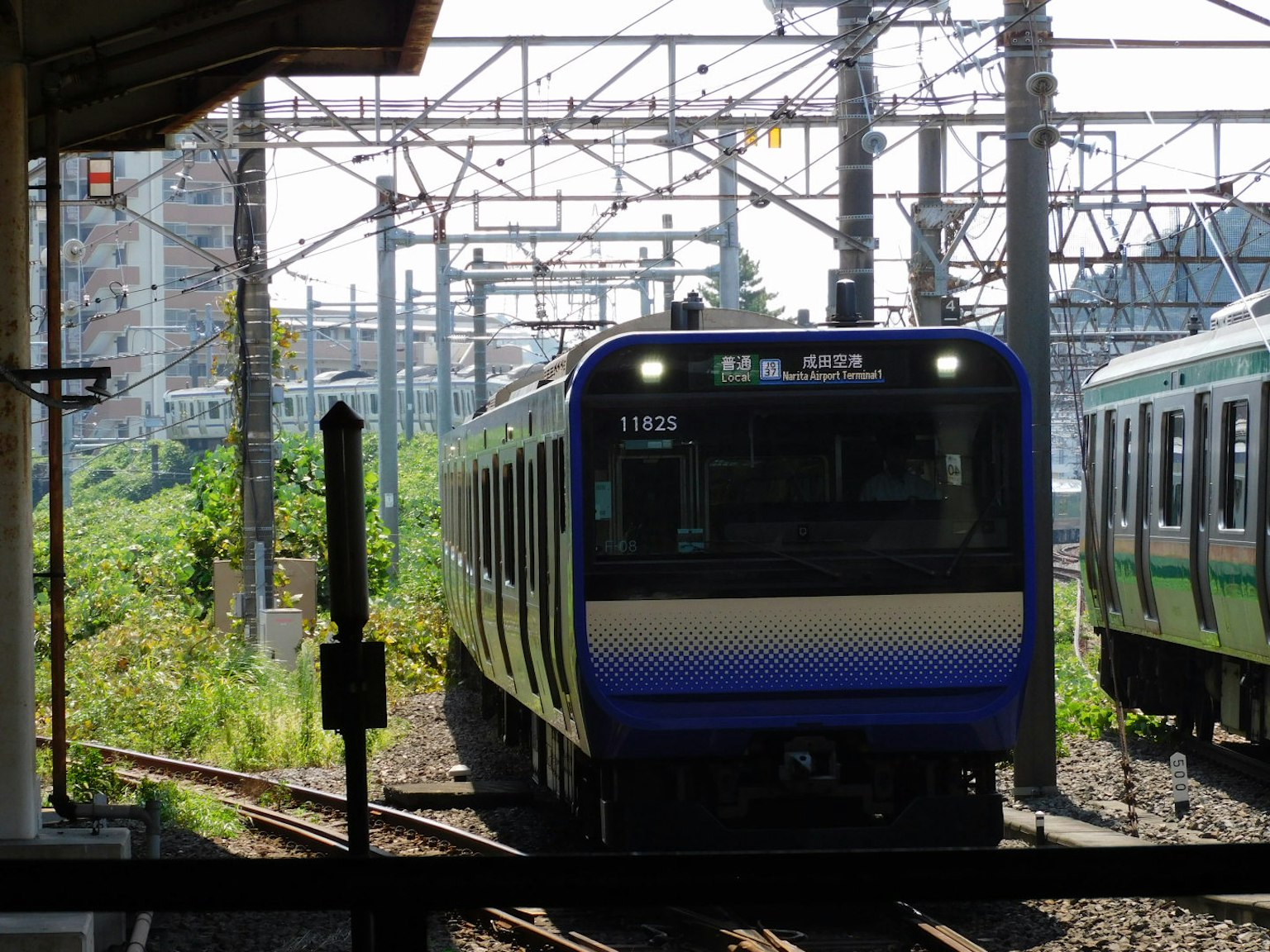 Treno blu sui binari con linee aeree visibili e vegetazione circostante
