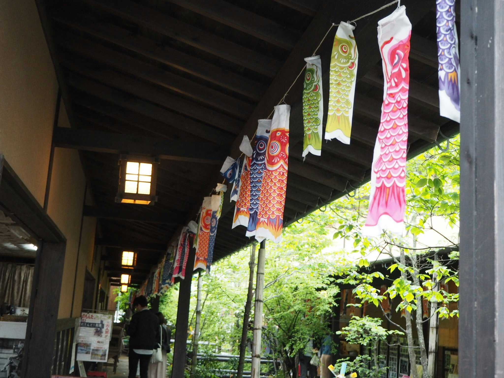 Colorful koinobori carp streamers under an eave with greenery in the courtyard