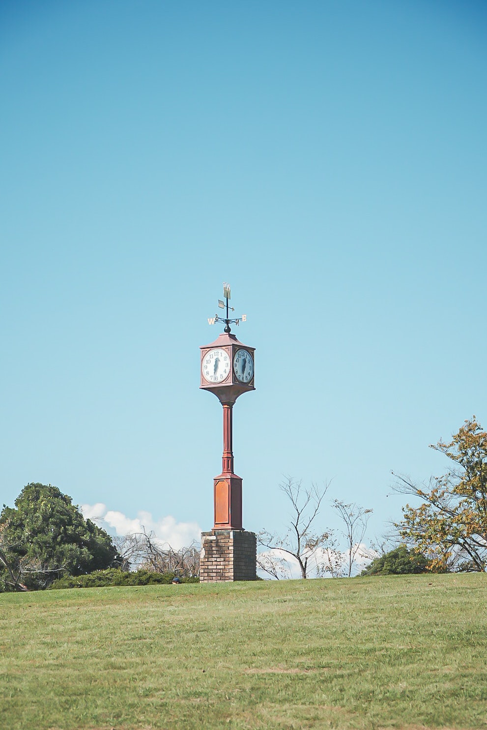 Parklandschaft mit Uhrturm in einer grünen Wiese
