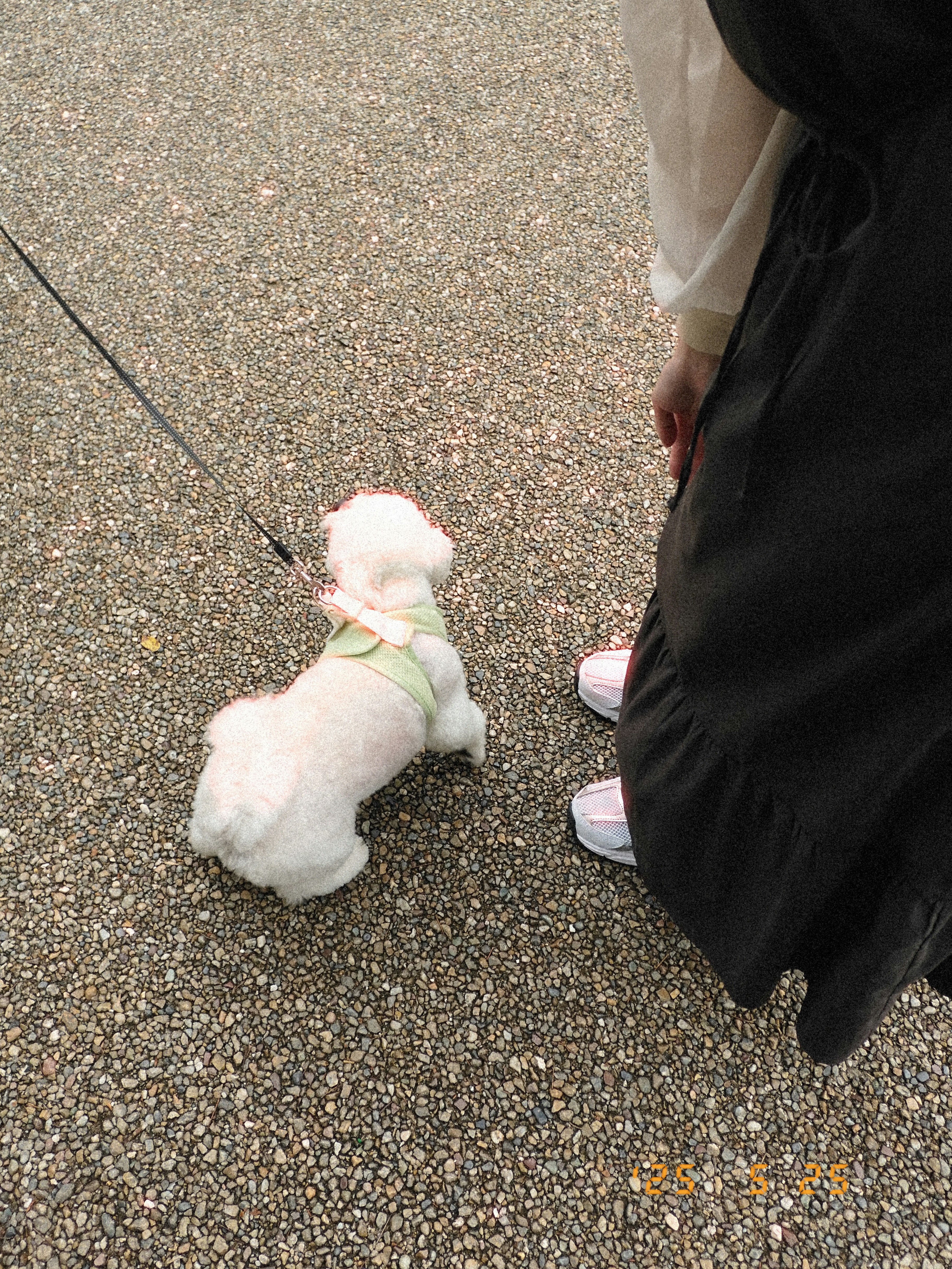 路上に寄り添うぬいぐるみと子ども