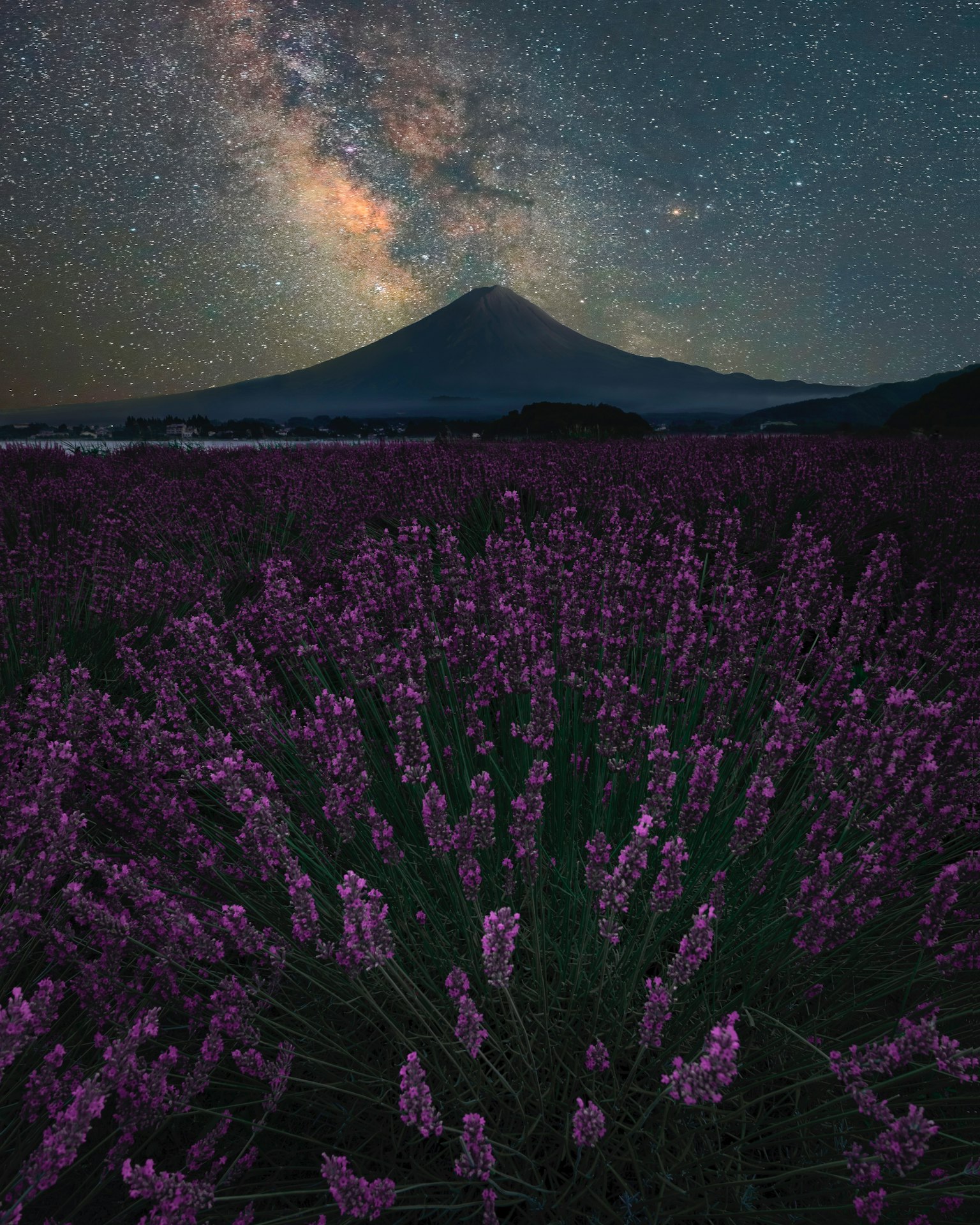 背景为富士山和星空的薰衣草田