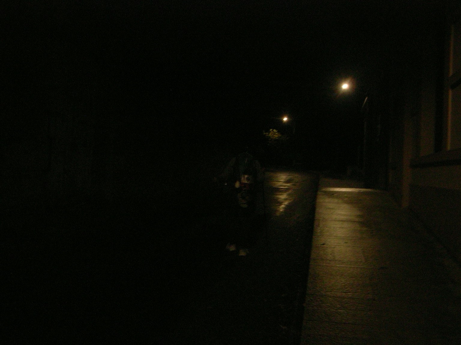 Una scena notturna con una figura su una strada buia illuminata da lampioni