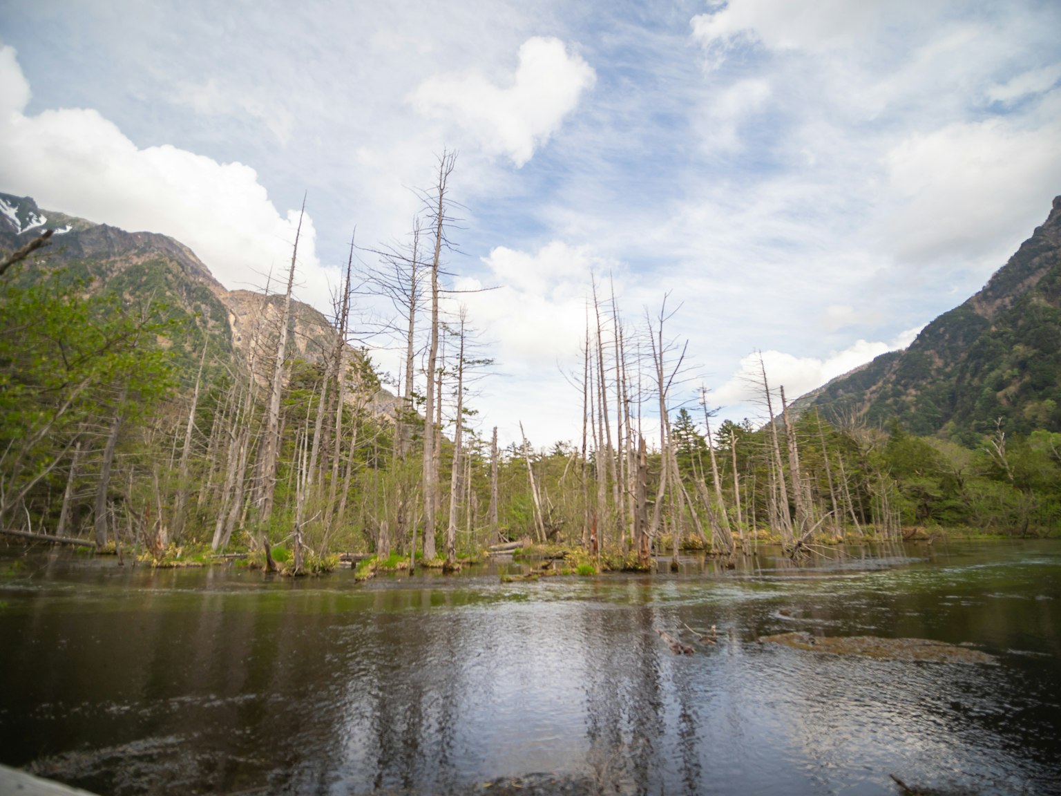 Serene lake view with dead trees mountains and blue sky in the background