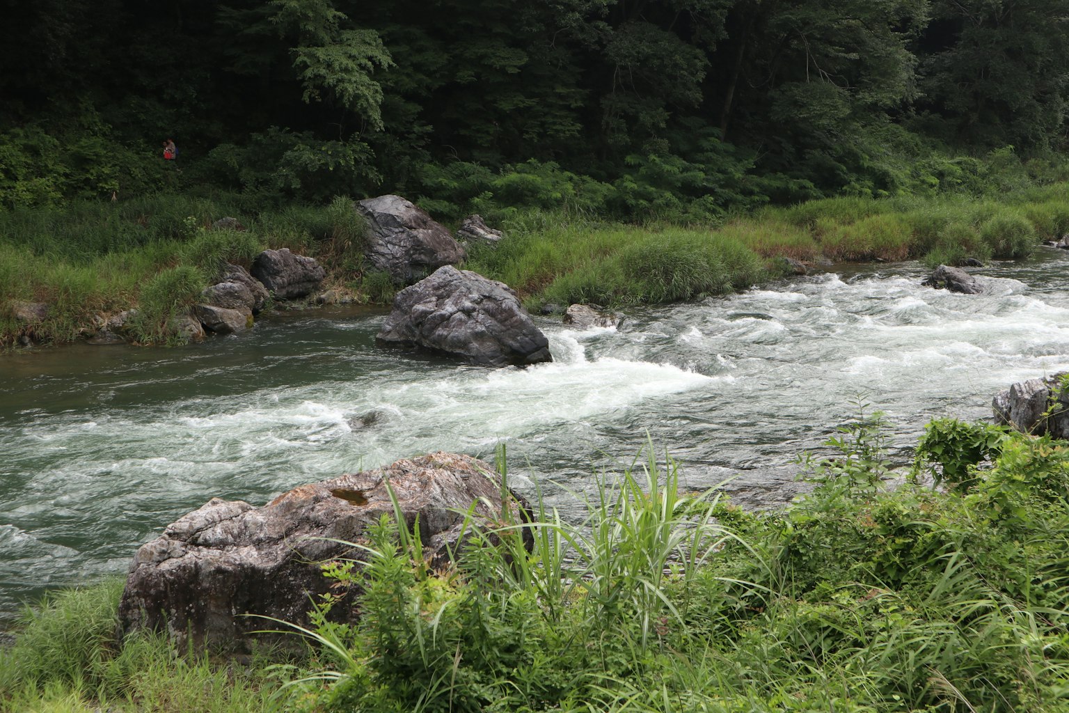 Ruhiger Fluss, der durch üppiges Grün und Felsen fließt