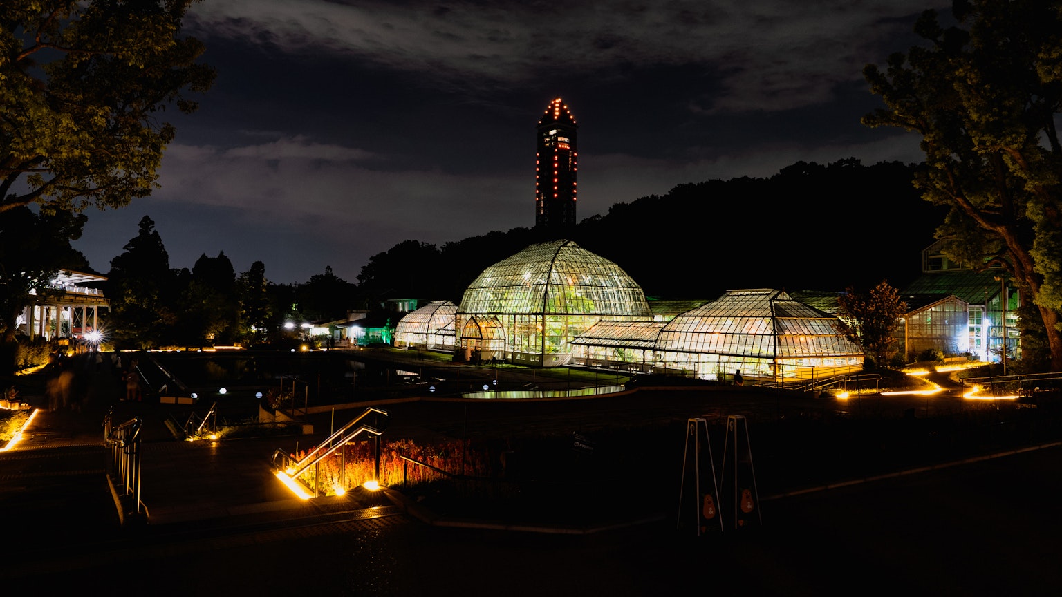 La serre magnifiquement illuminée la nuit