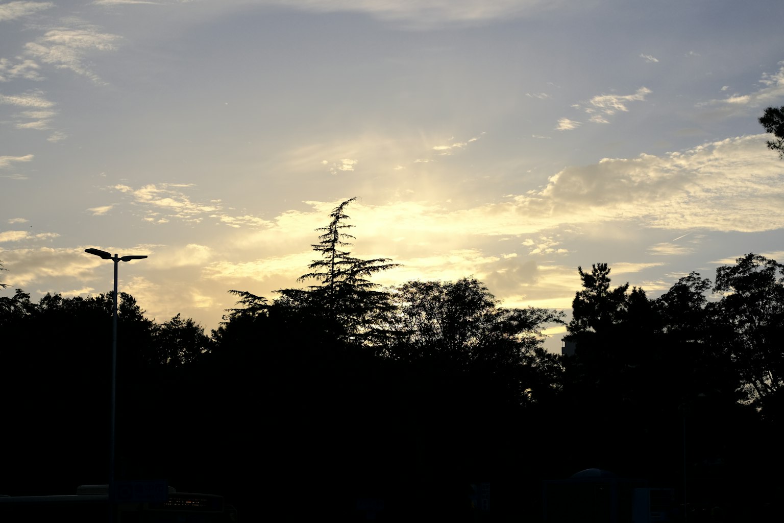 Cielo al atardecer con siluetas de árboles