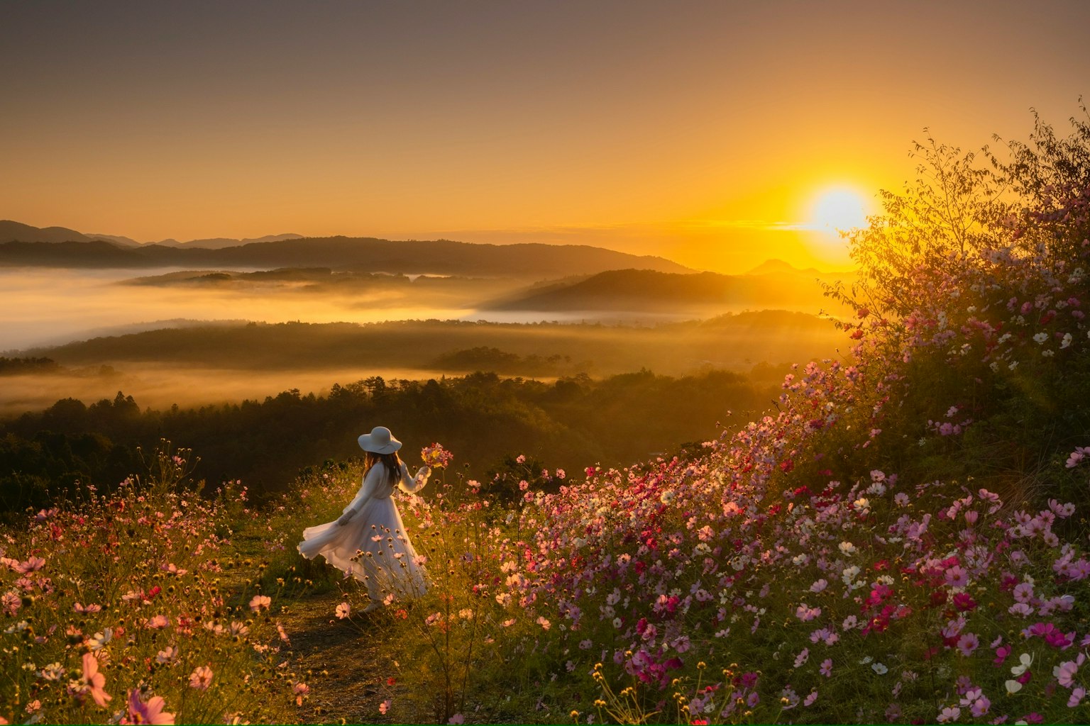 Silueta de una mujer caminando por un campo de flores con una hermosa puesta de sol