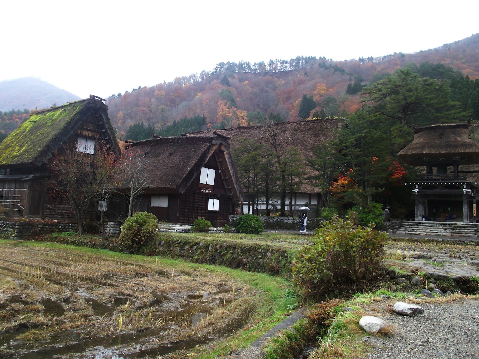 被山圍繞的傳統合掌造屋在鄉村風景中