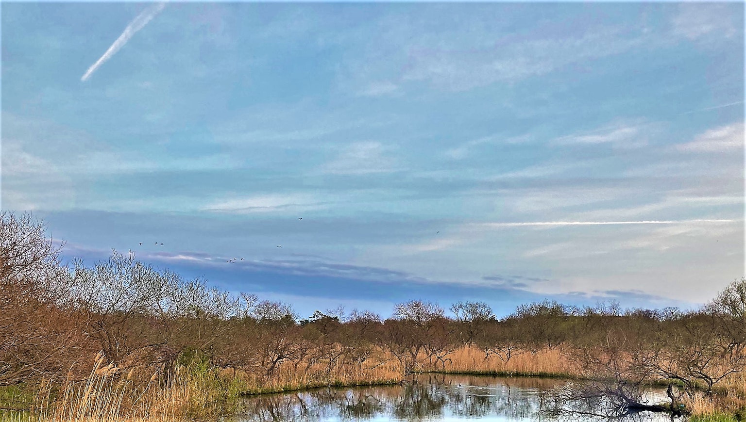 Vista panoramica con cielo azzurro e nuvole riflesse sull'acqua