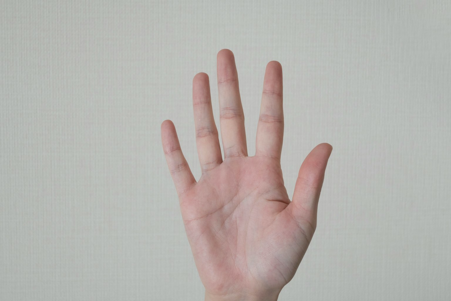 밝은 배경에 있는 열린 손의 이미지