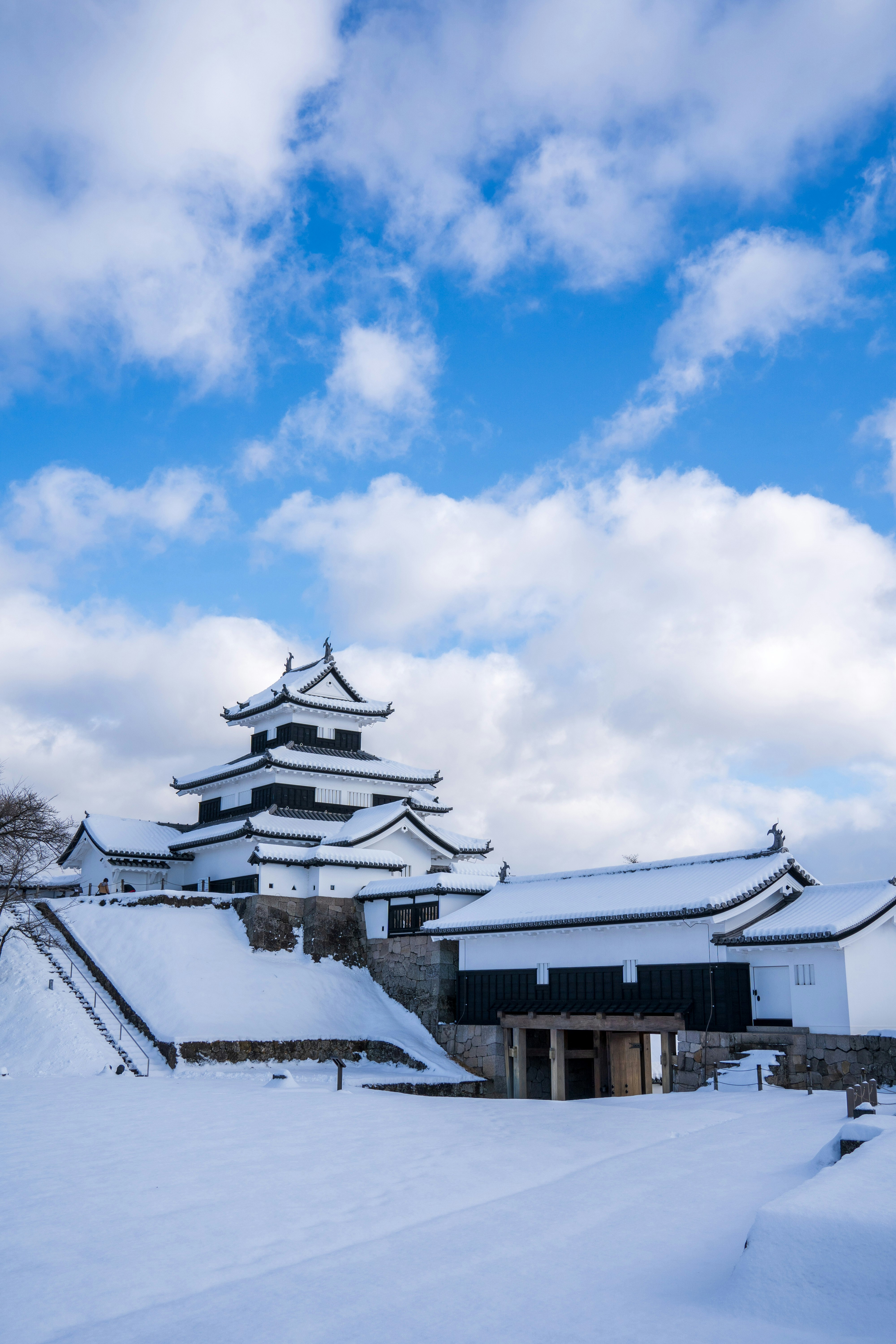 雪に覆われた小峰城の城郭と白い屋根の建物群