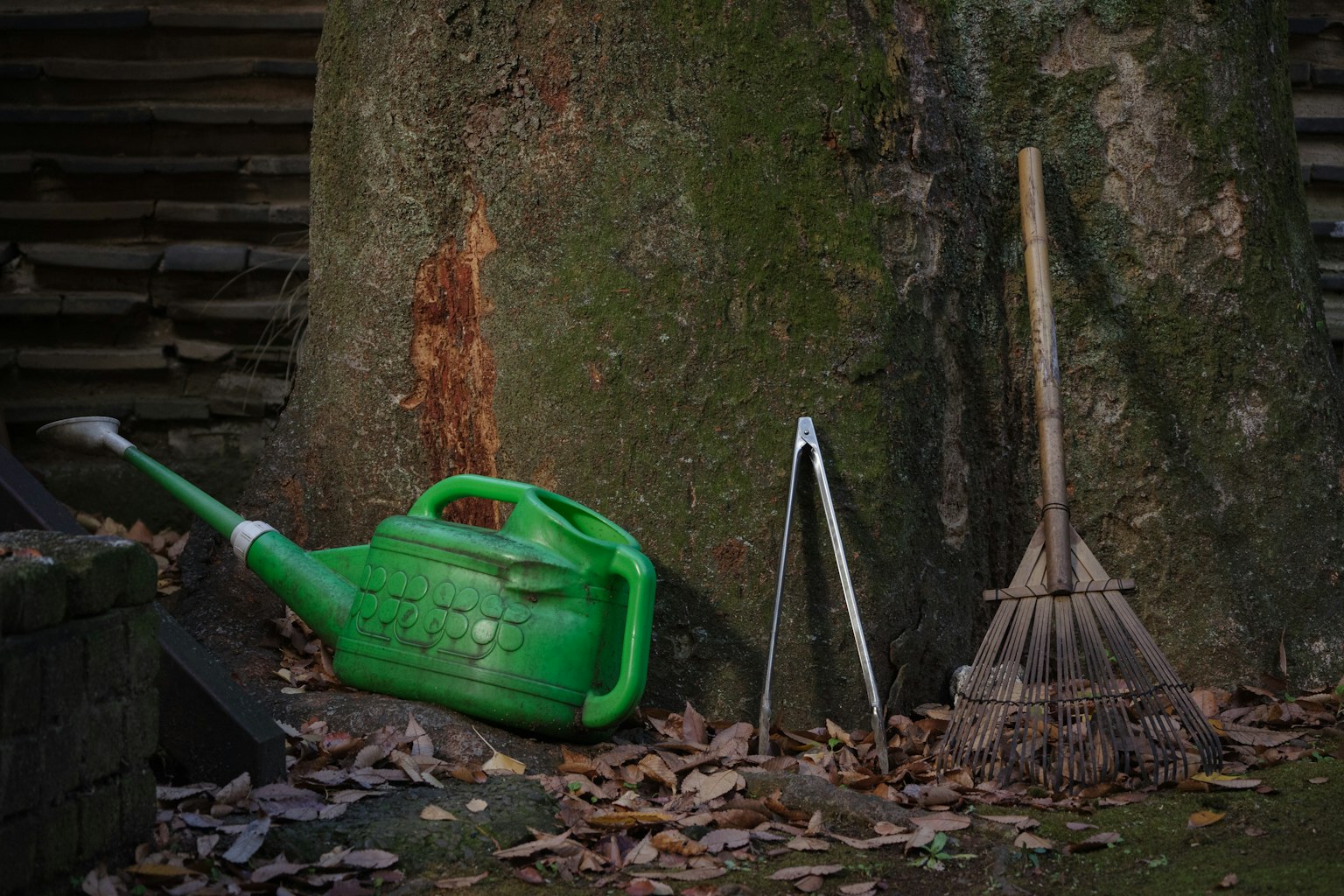 Scena di un annaffiatoio verde e attrezzi da giardinaggio accanto a un albero