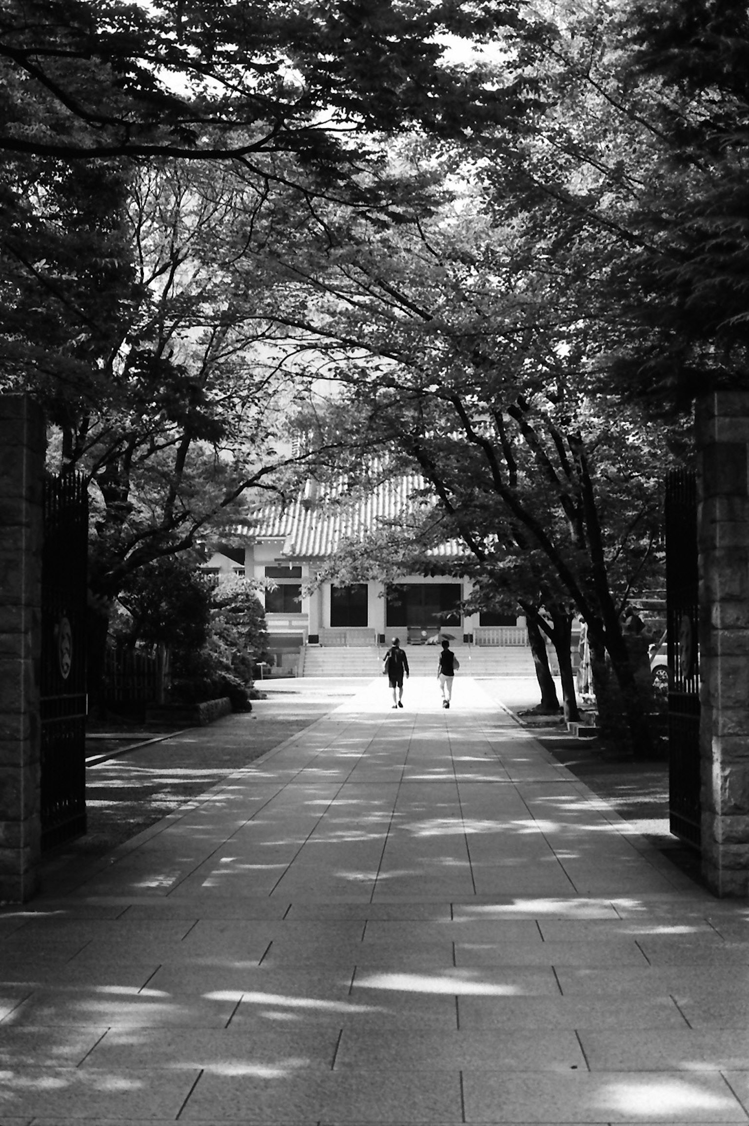 Hai người đi bộ trên con đường có cây cối bao quanh