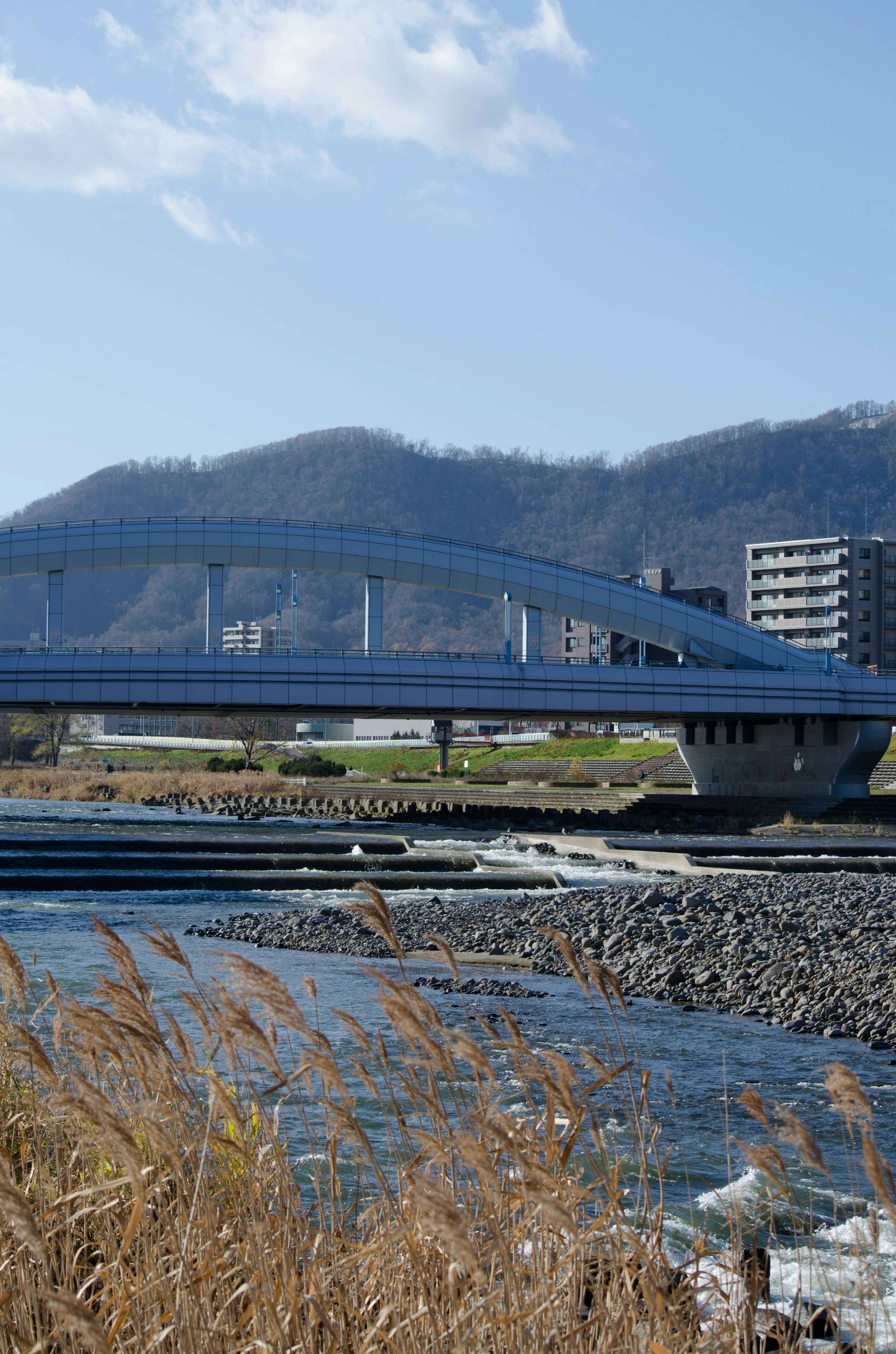 川沿いの河川敷とアーチ状の橋