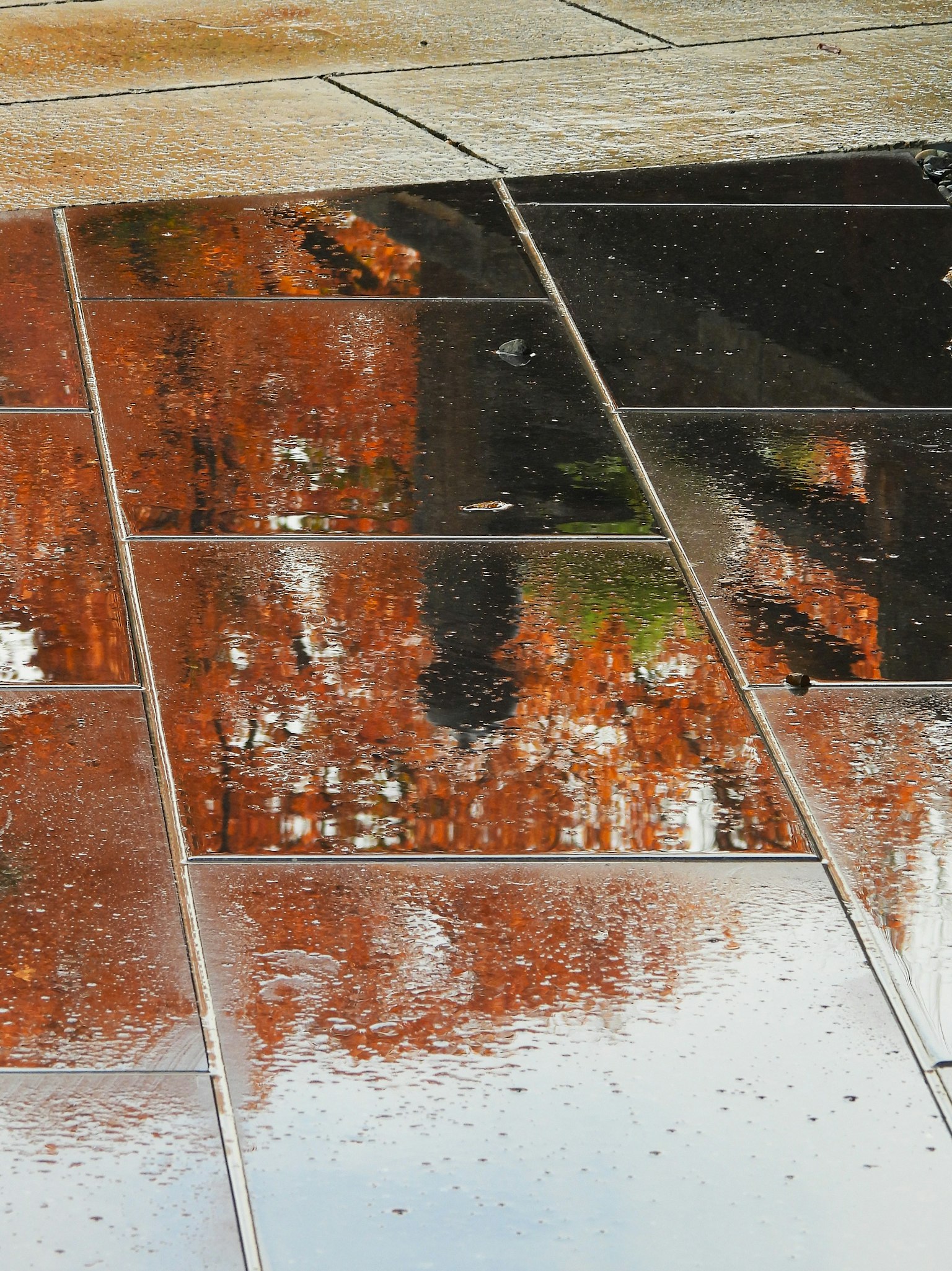雨に濡れたタイルの上に映る赤い木々の反射